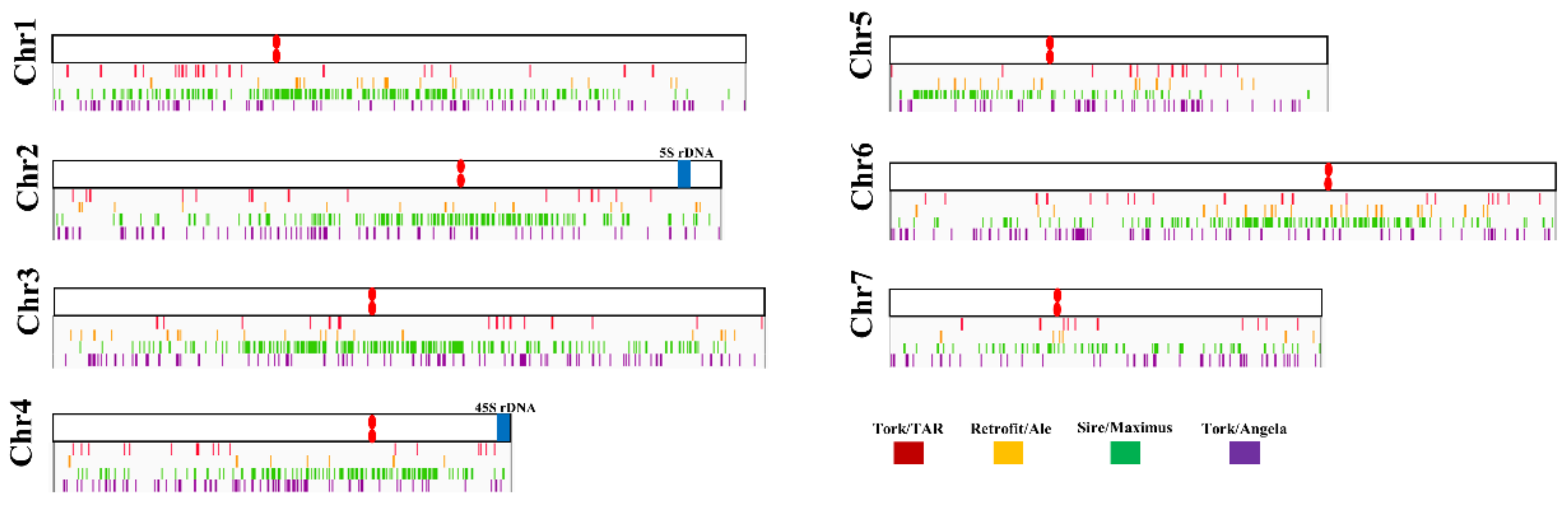 Agronomy | Free Full-Text | Diversity Chromosome Evolution of Ty1-copia ...