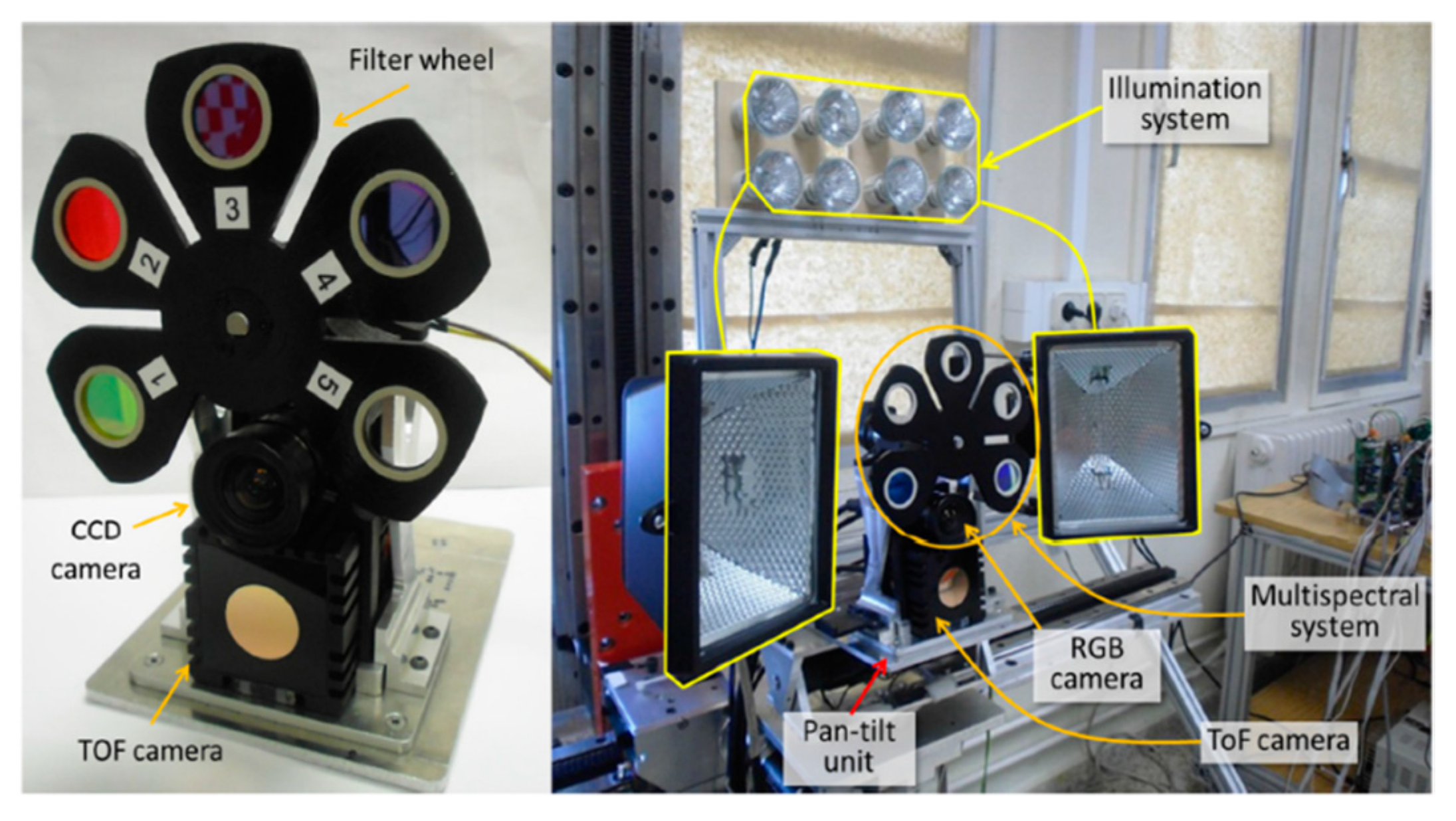 Agronomy 12 01336 g006