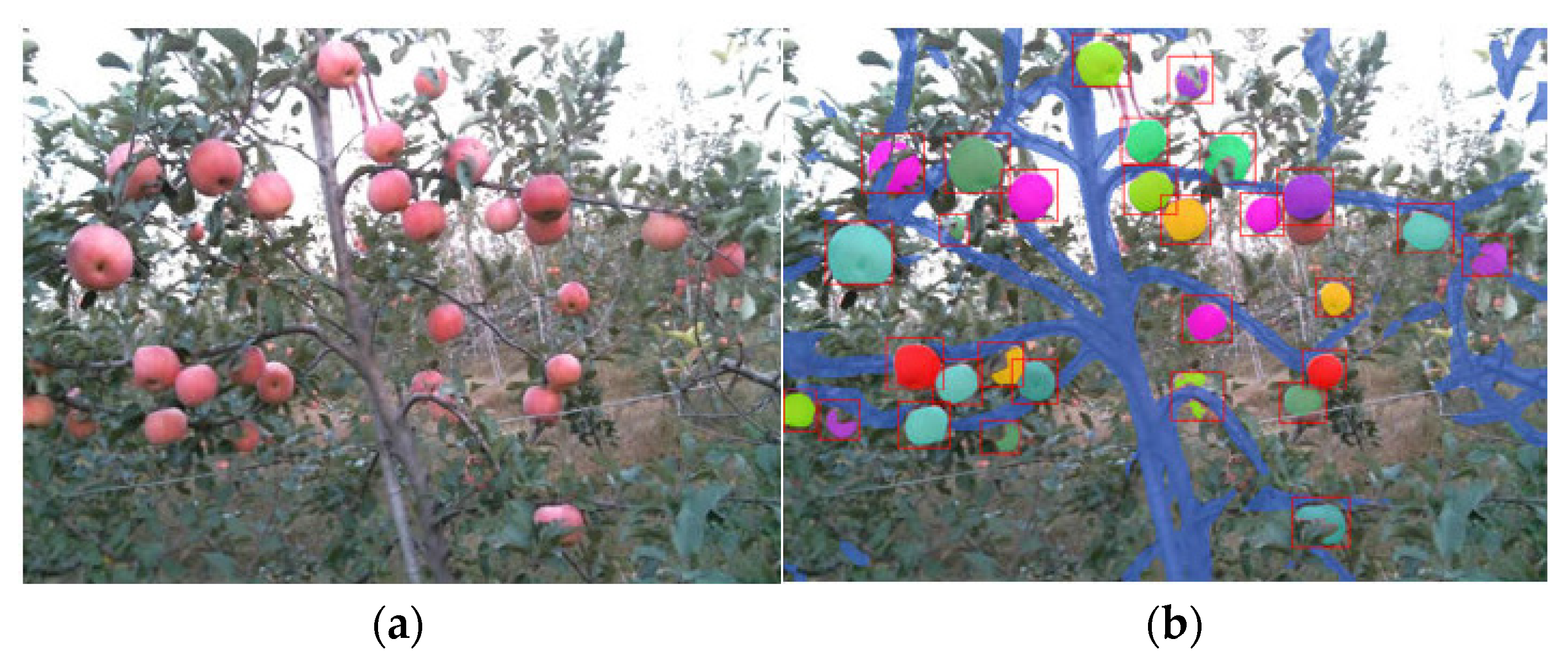 Agronomy 12 01336 g008