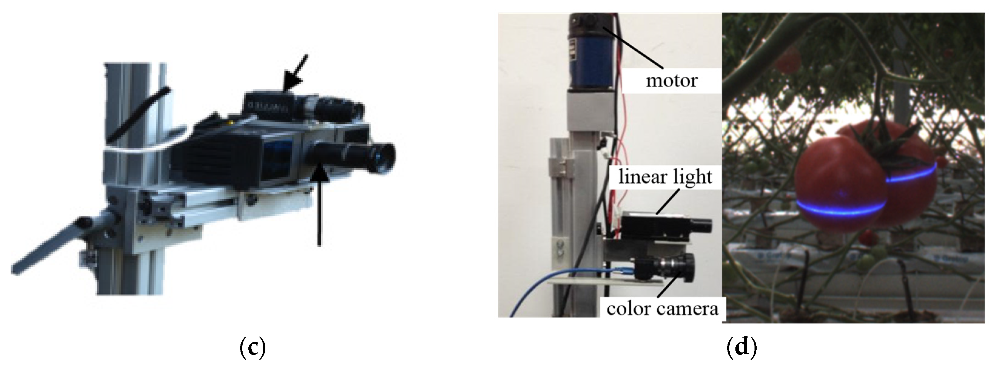 Agronomy 12 01336 g009b
