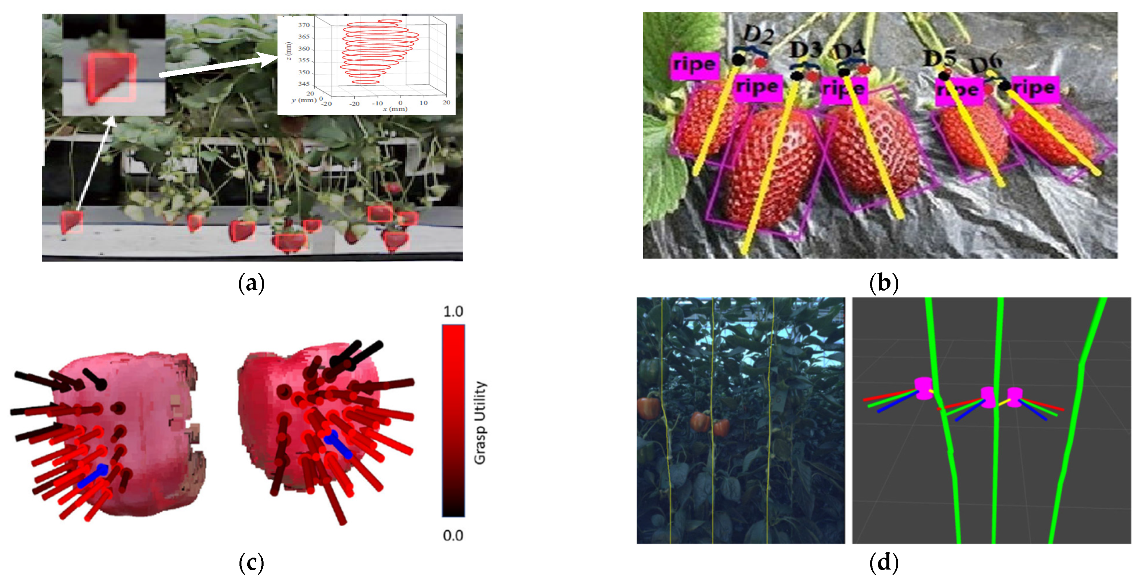 Agronomy 12 01336 g010