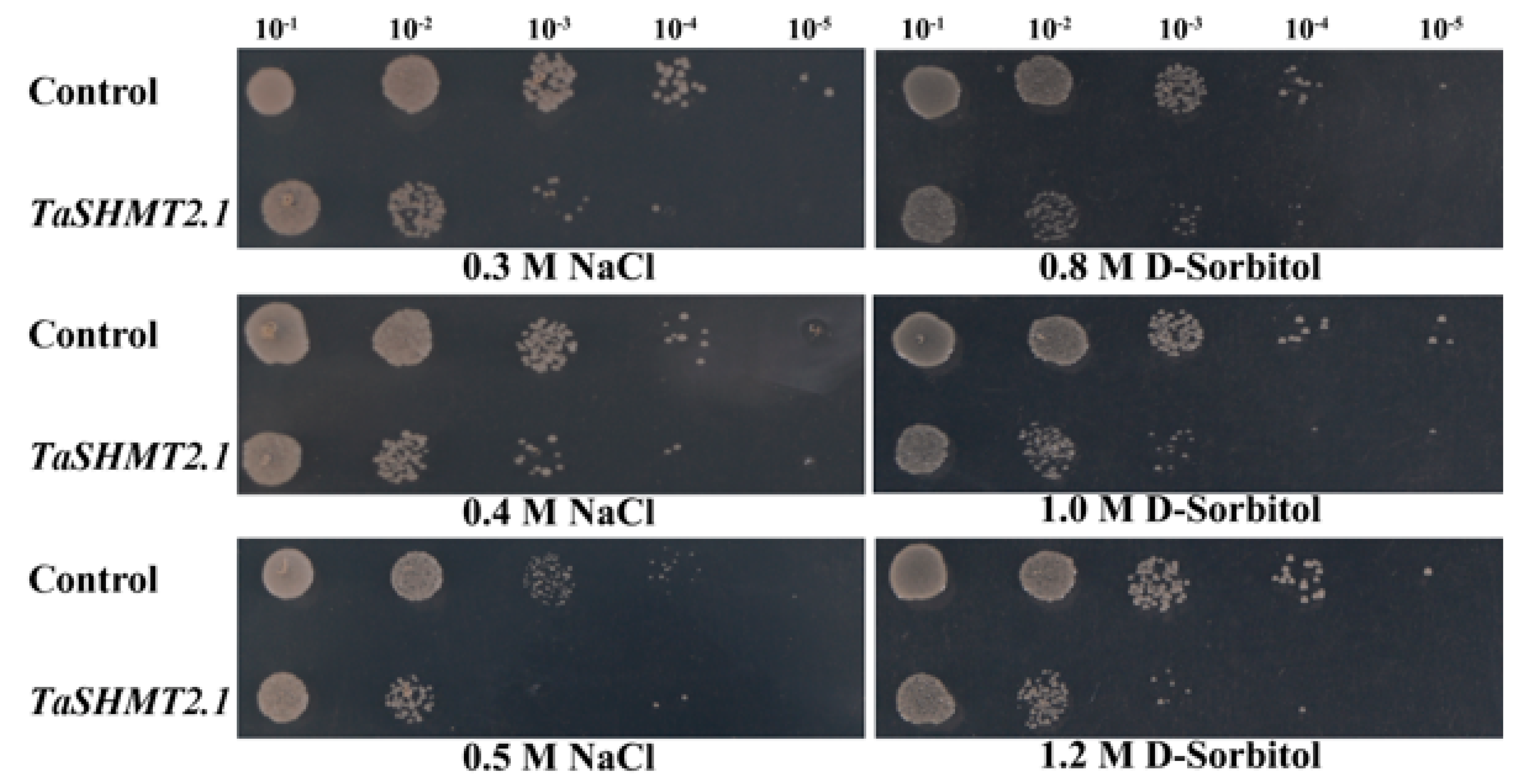 Agronomy Free Full Text Serine Hydroxymethyltransferase Shmt Gene Family In Wheat Triticum Aestivum L Identification Evolution And Expression Analysis Html