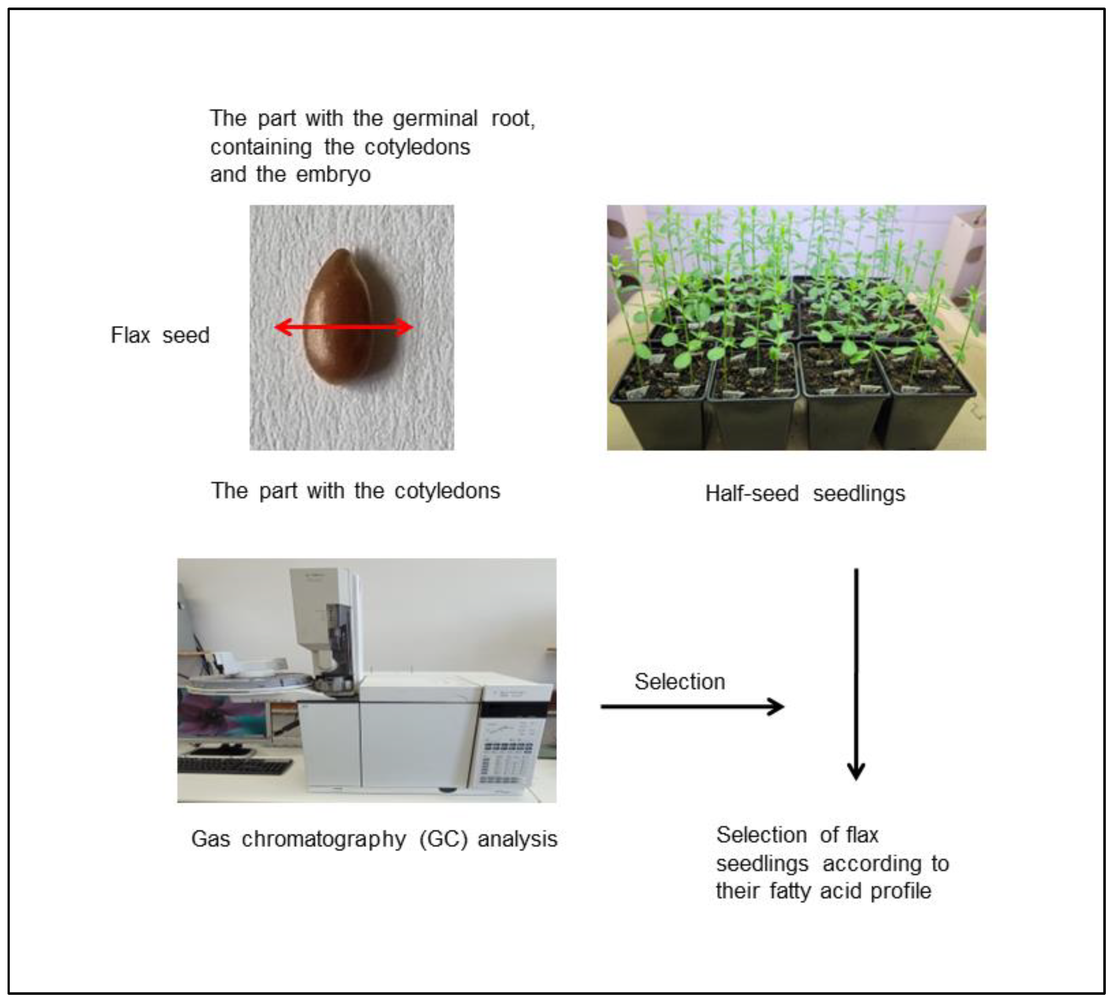 Agronomy 12 01432 g001