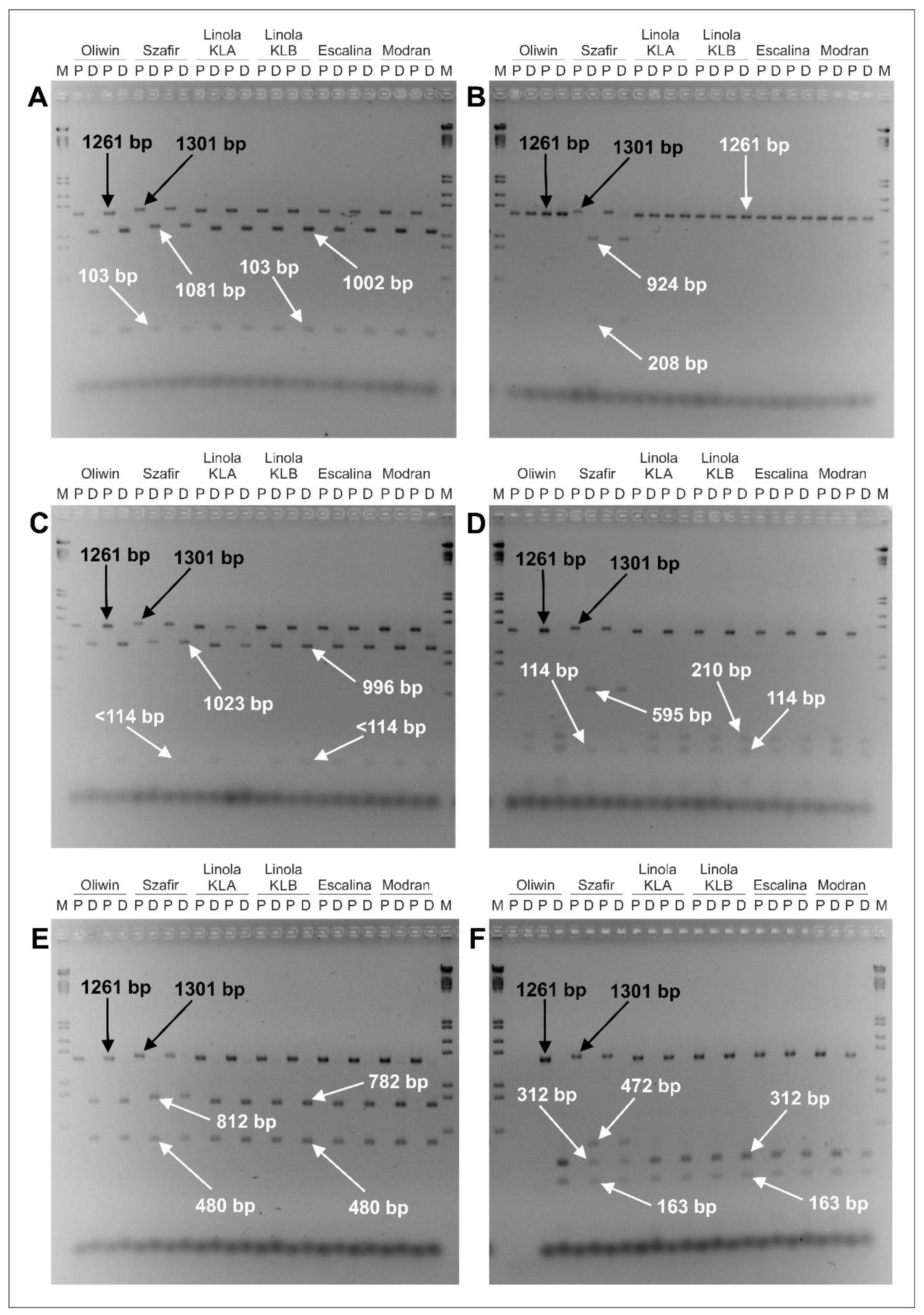 Agronomy 12 01432 g003