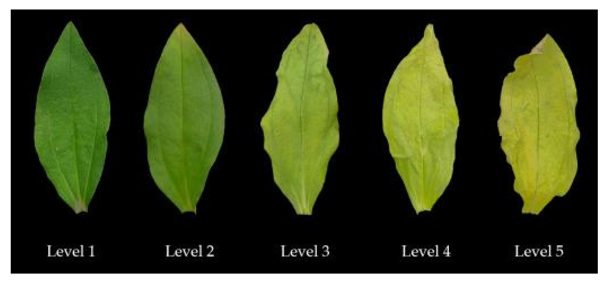 Agronomy 12 01443 g002