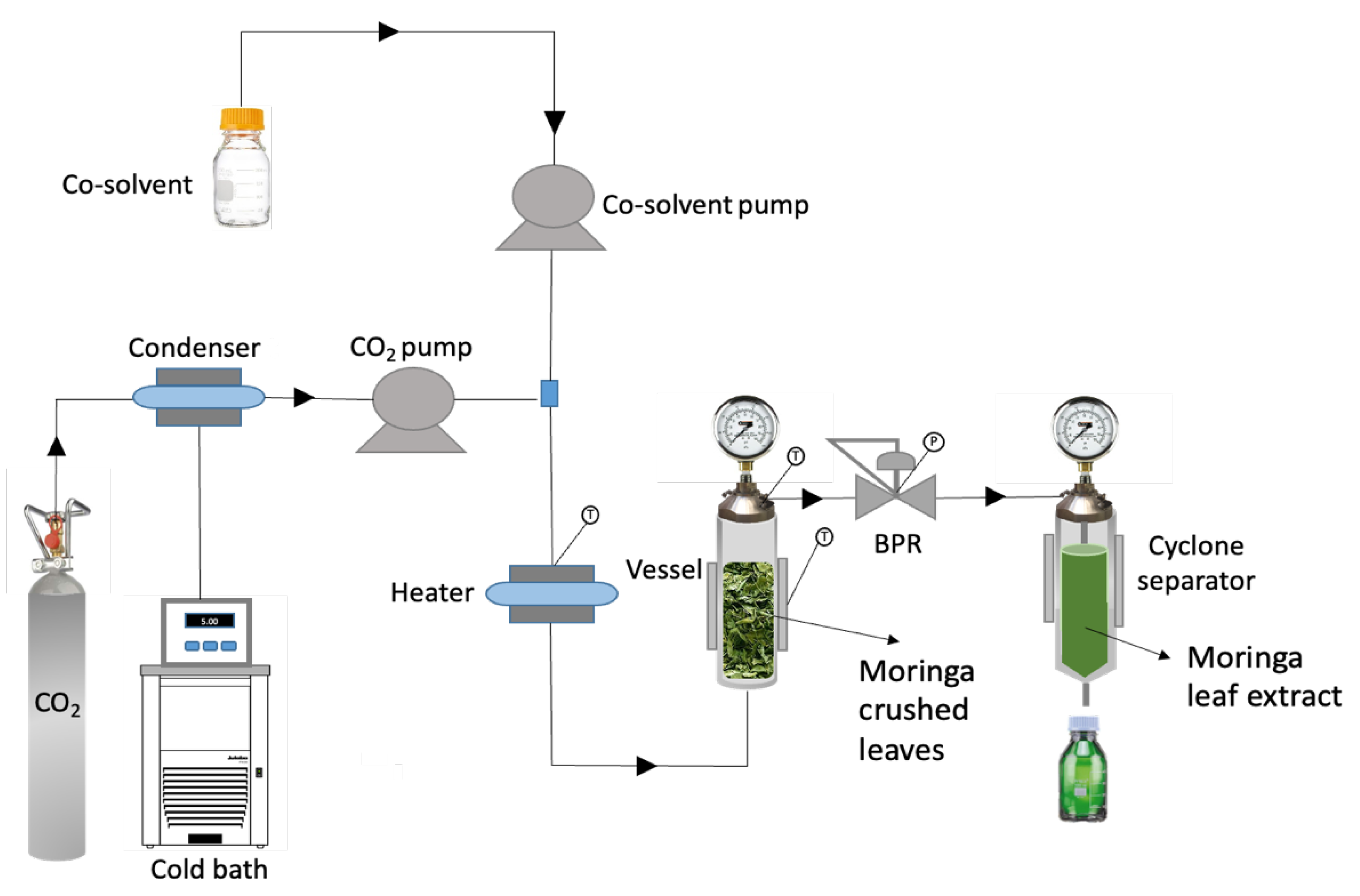 Agronomy 12 01450 g001