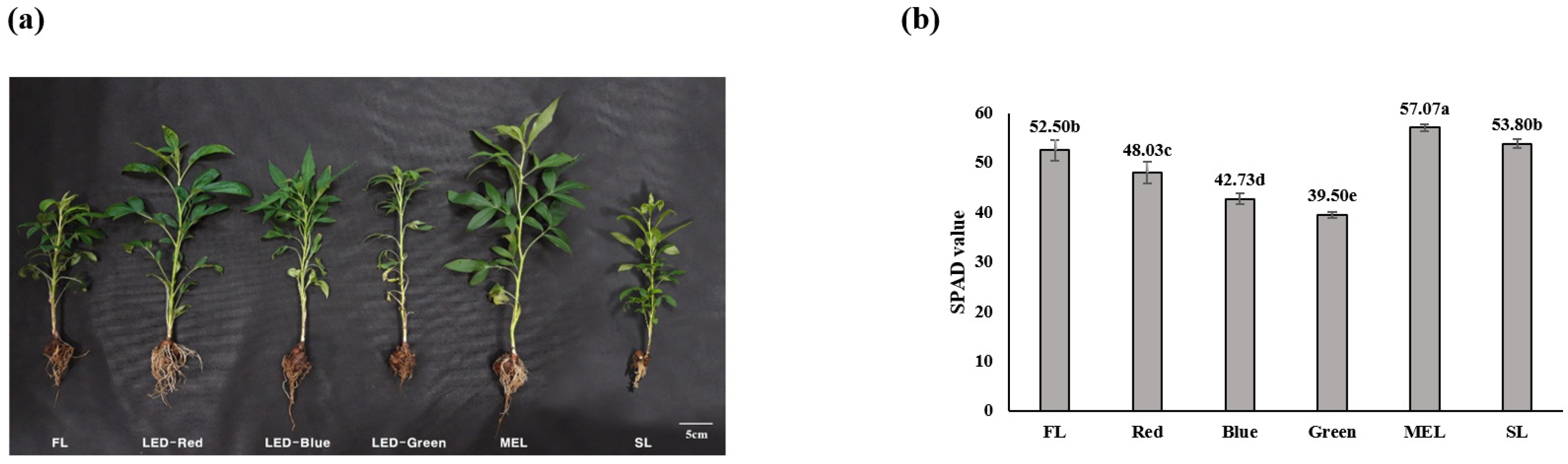 Agronomy 12 01485 g001