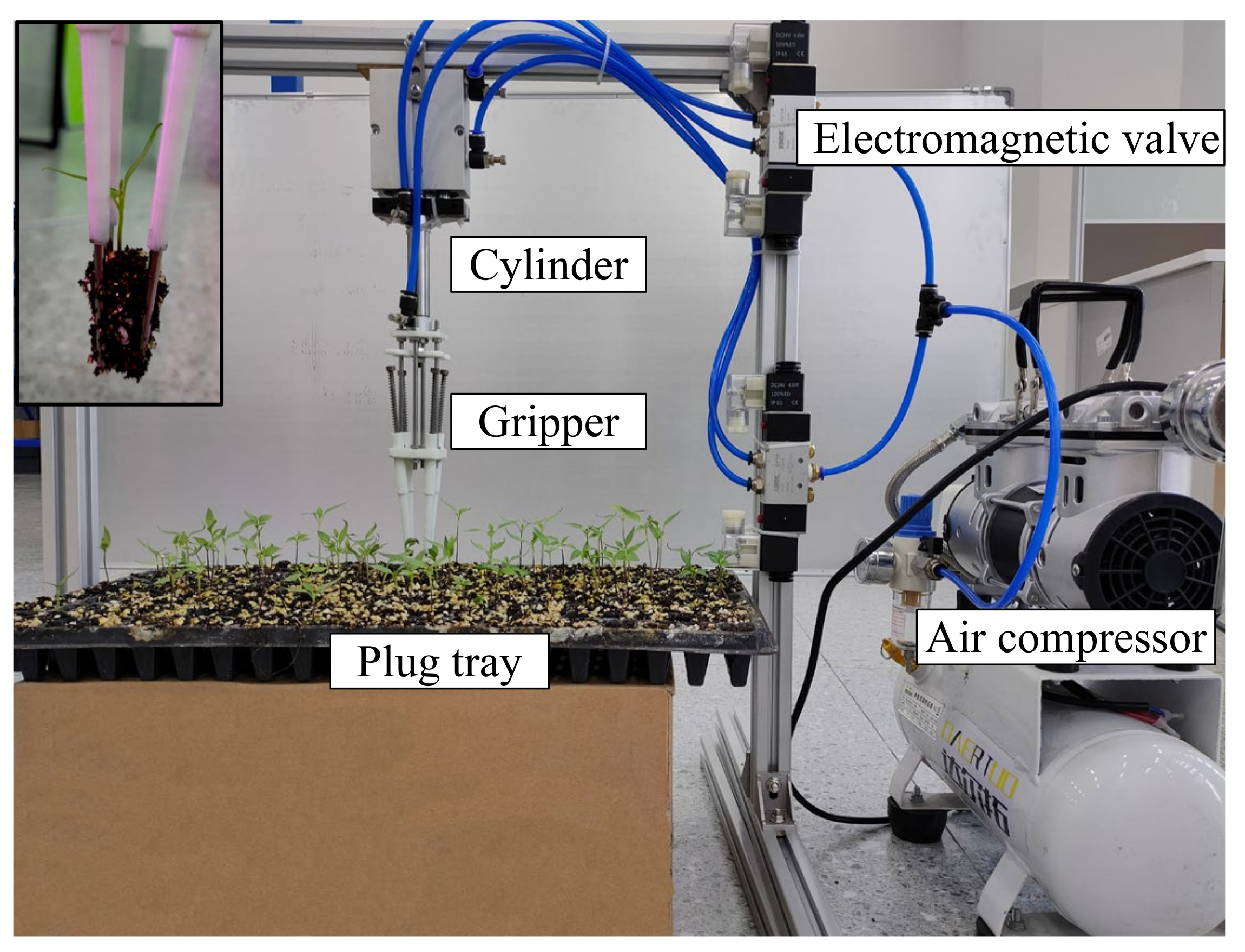 Agronomy 12 01487 g005