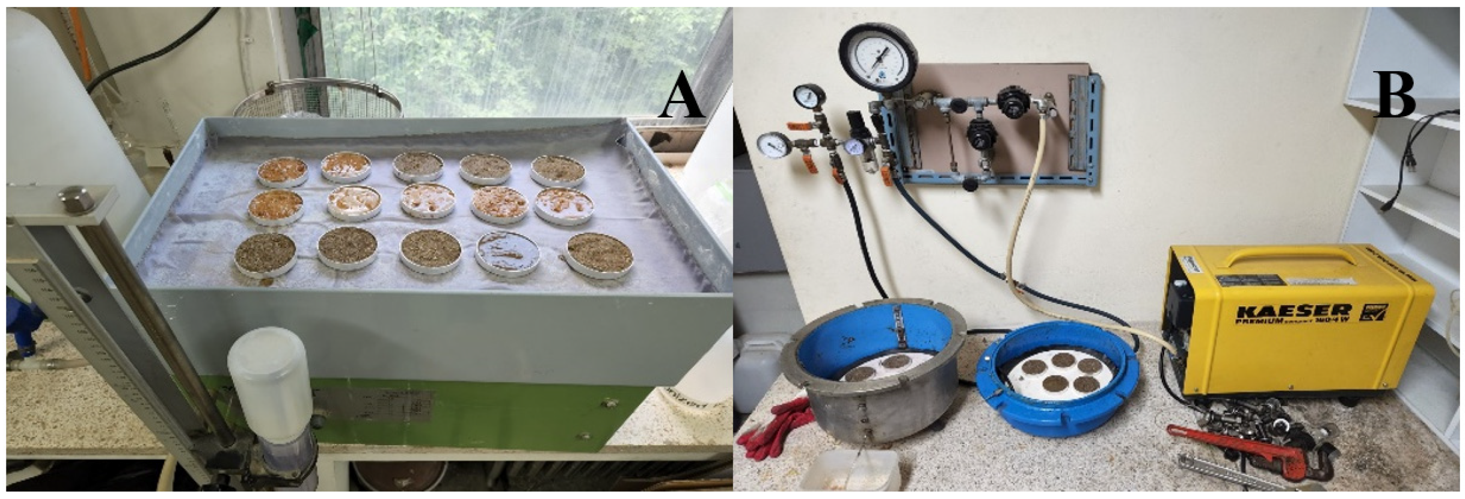 Agronomy 12 01507 g002