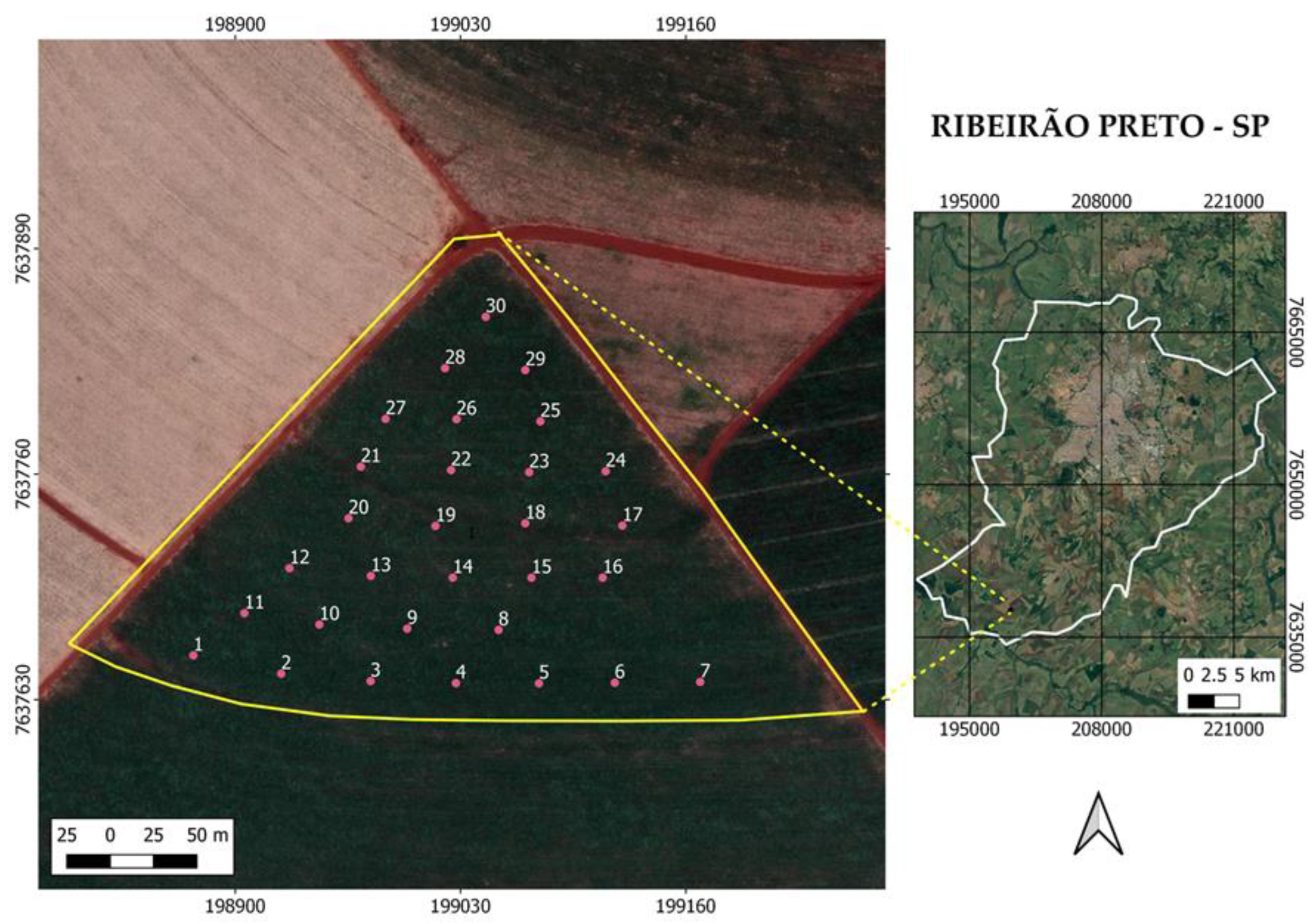 Agronomy 12 01512 g001