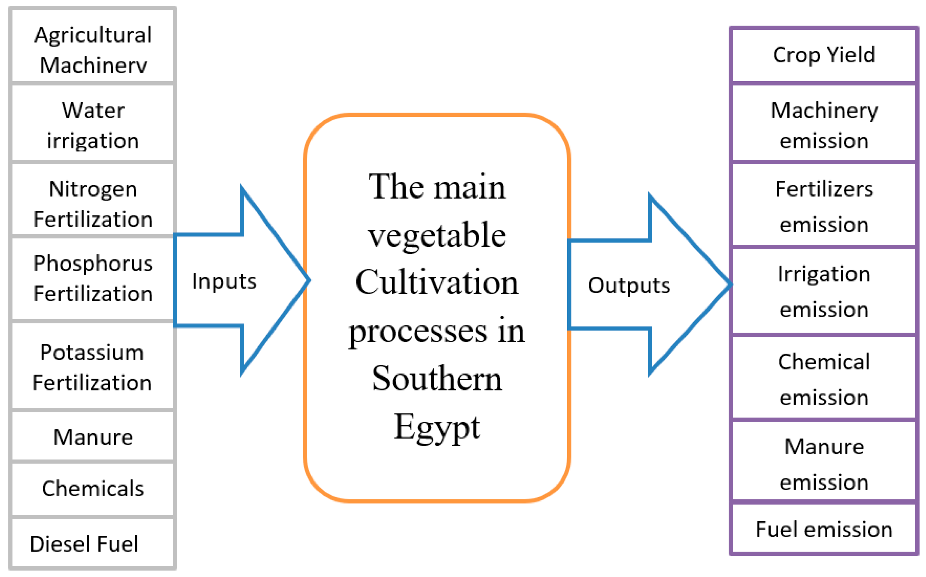 Free Porn Rape Egyption - Agronomy | Free Full-Text | Life Cycle Assessment of the Cultivation  Processes for the Main Vegetable Crops in Southern Egypt