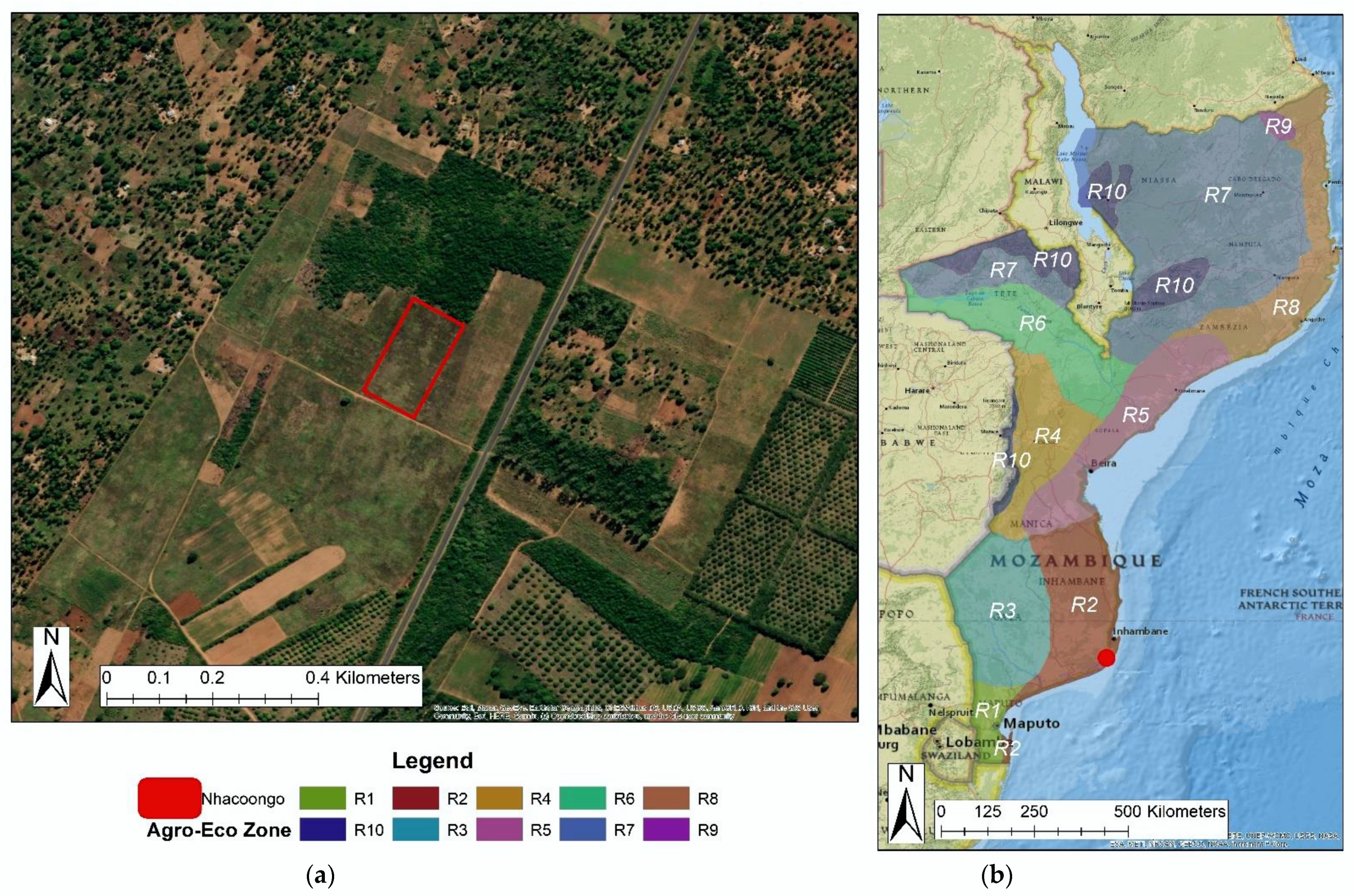 Agronomy 12 01534 g001