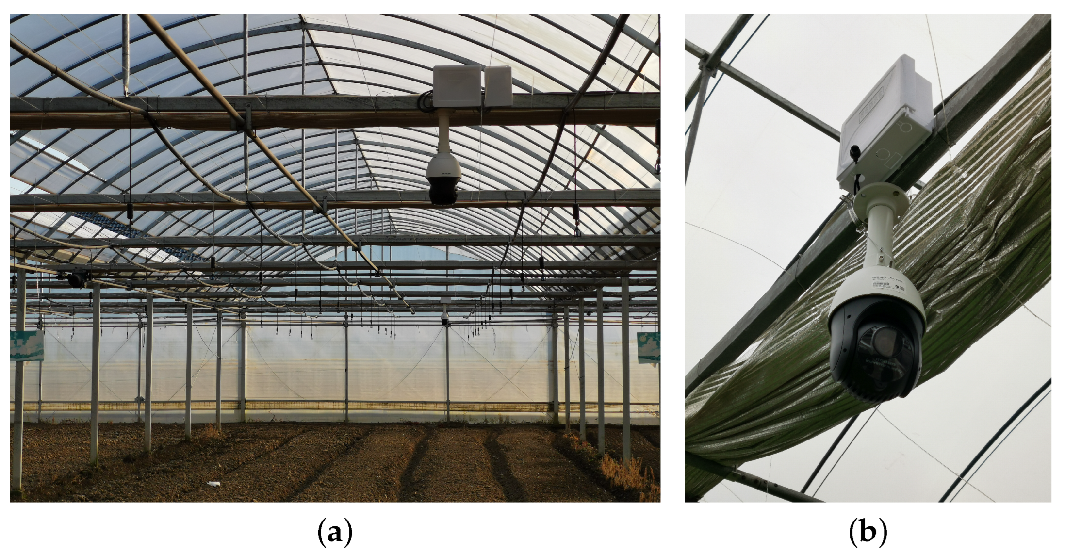 Agronomy 12 01567 g001 Agronomy 12 01567 g001
