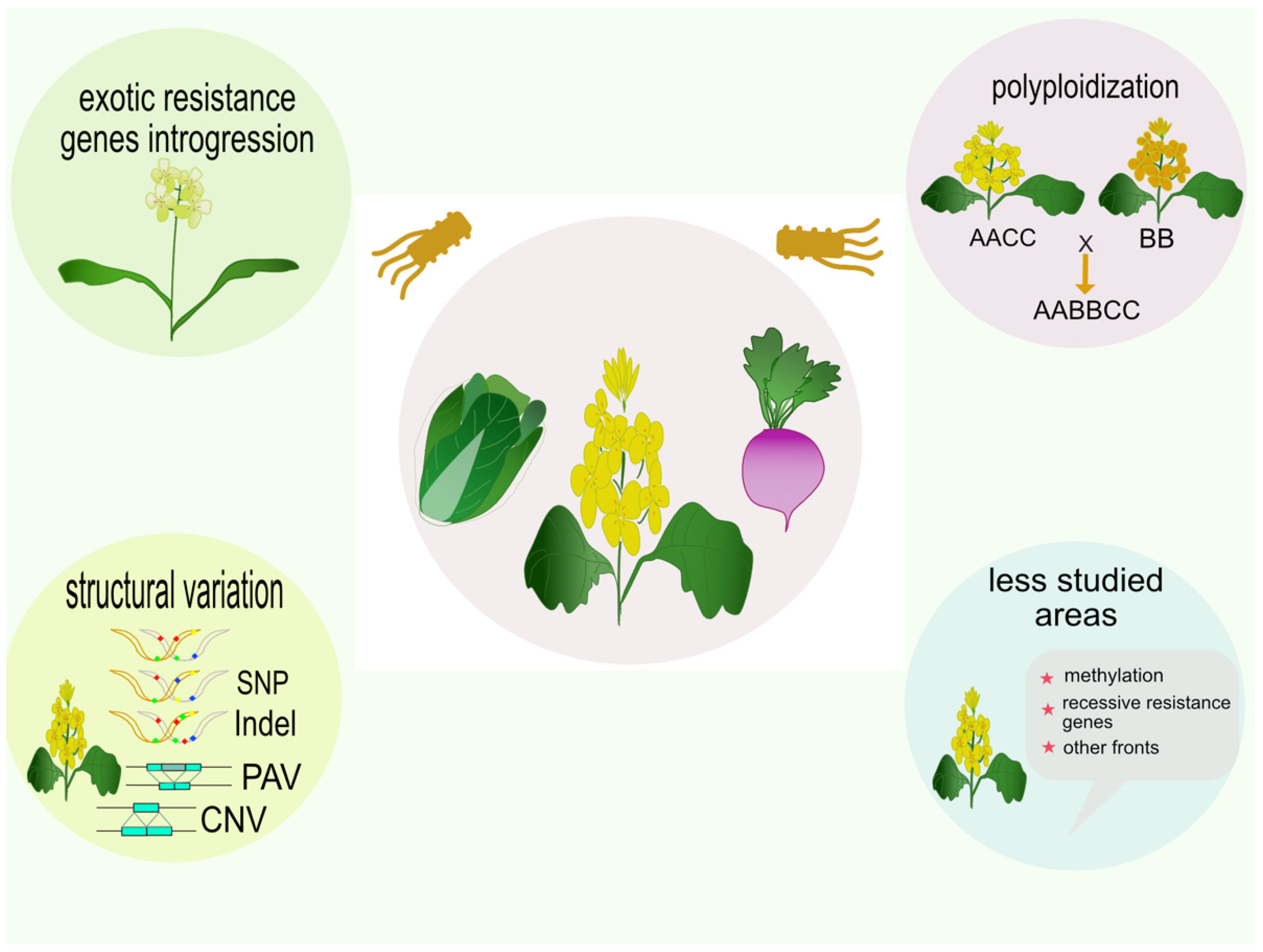 Agronomy 12 01591 g002