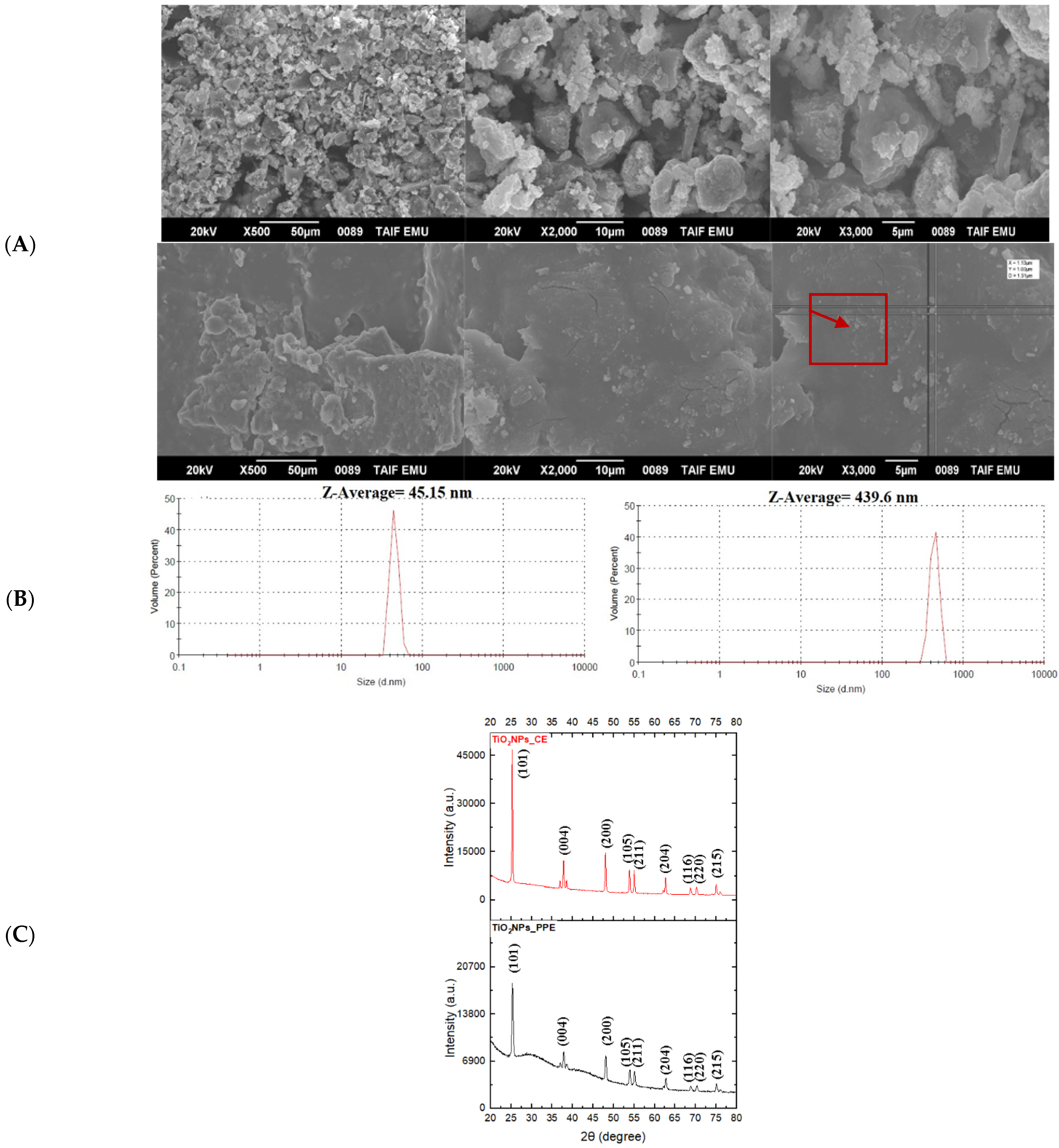 Agronomy 12 01601 g002