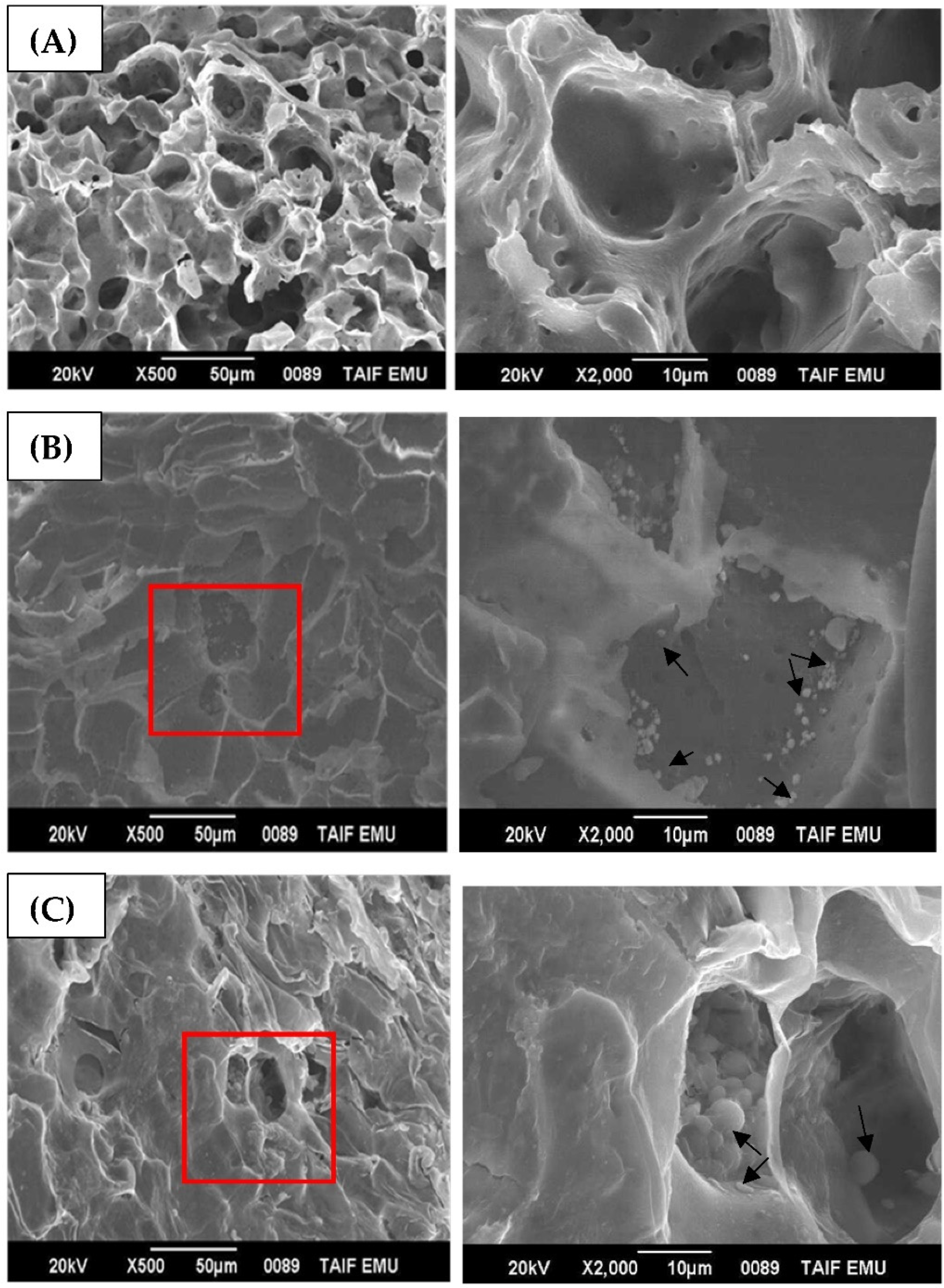 Agronomy 12 01601 g004