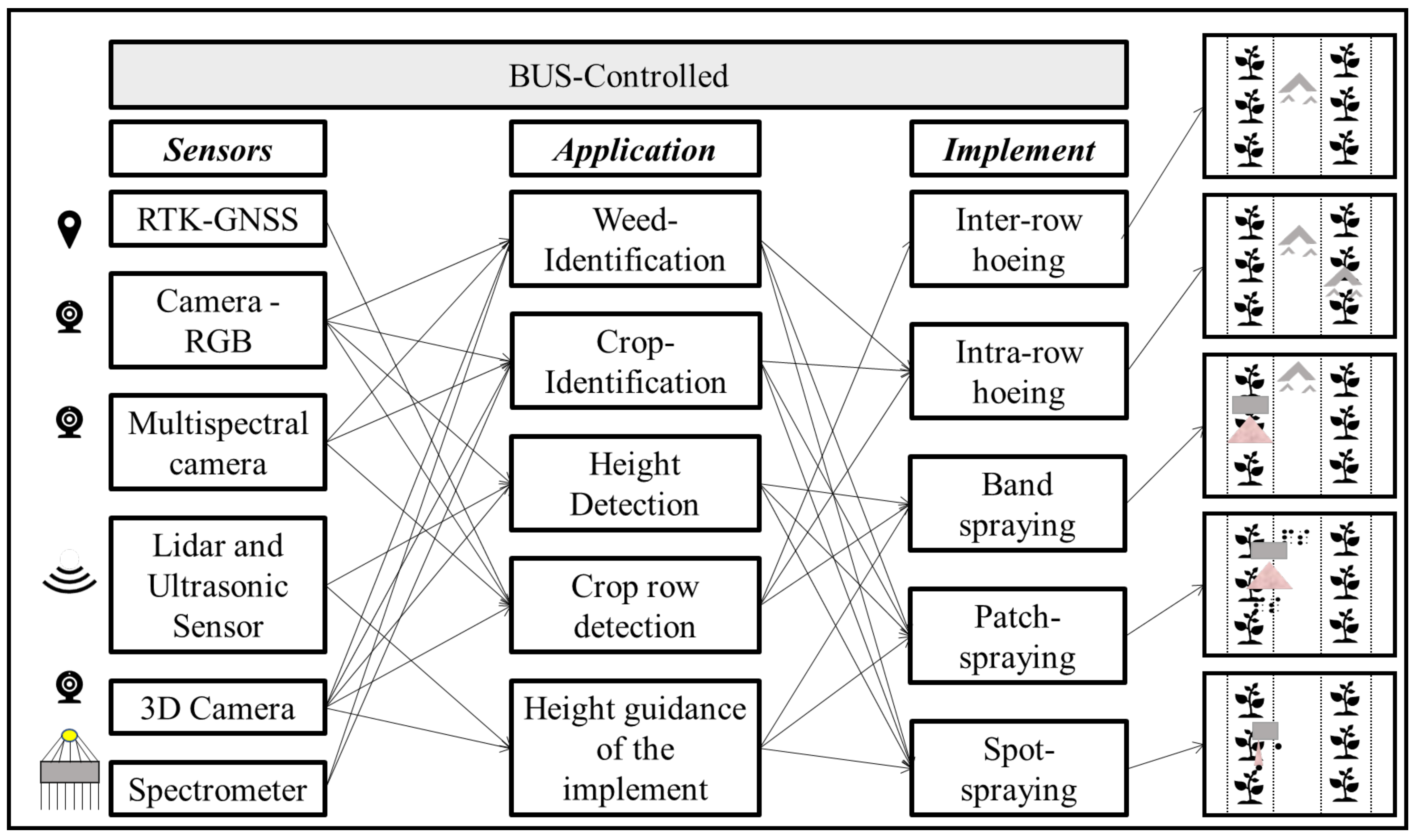 Agronomy 12 01620 g005