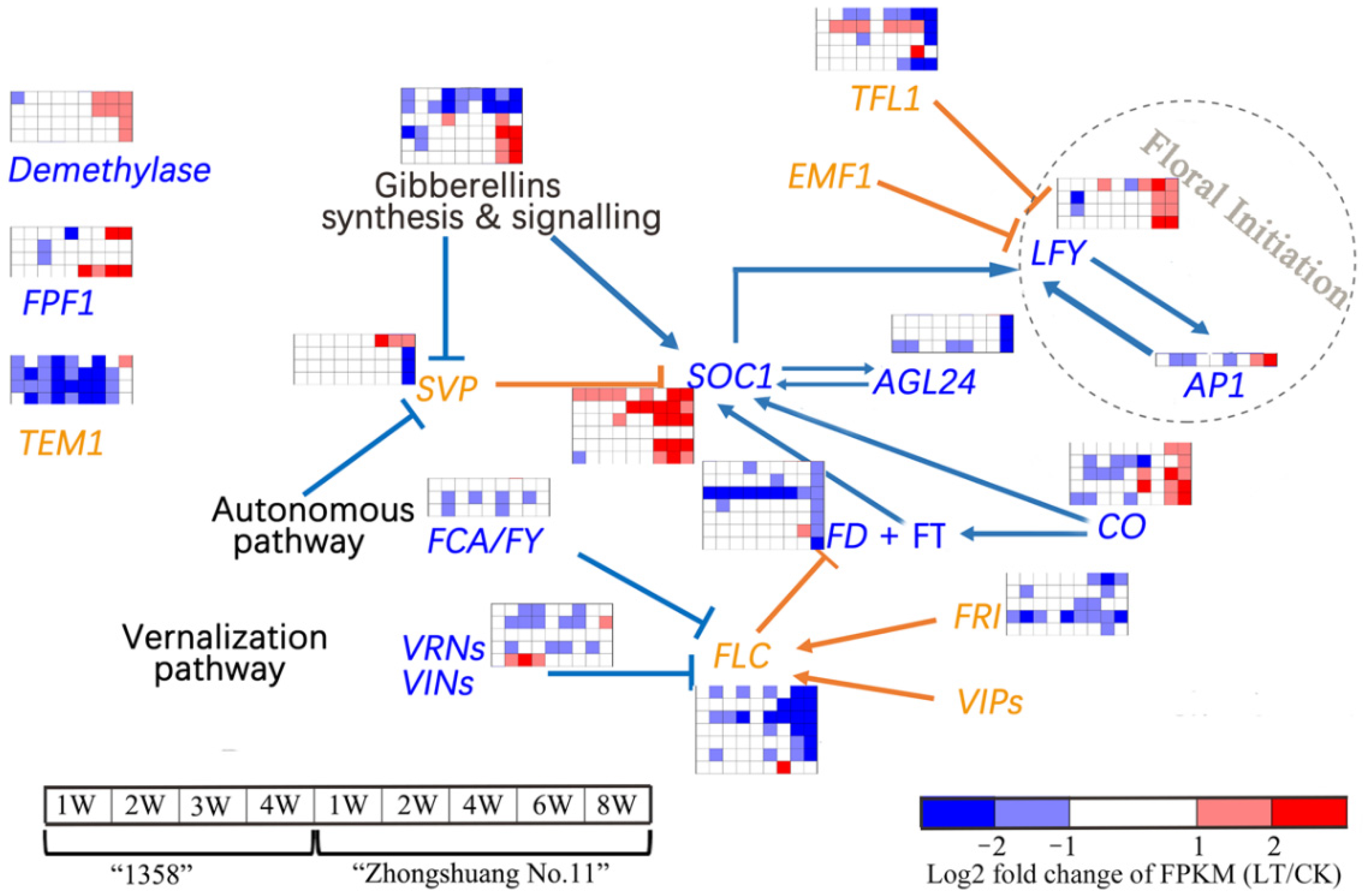 Agronomy 12 01624 g008