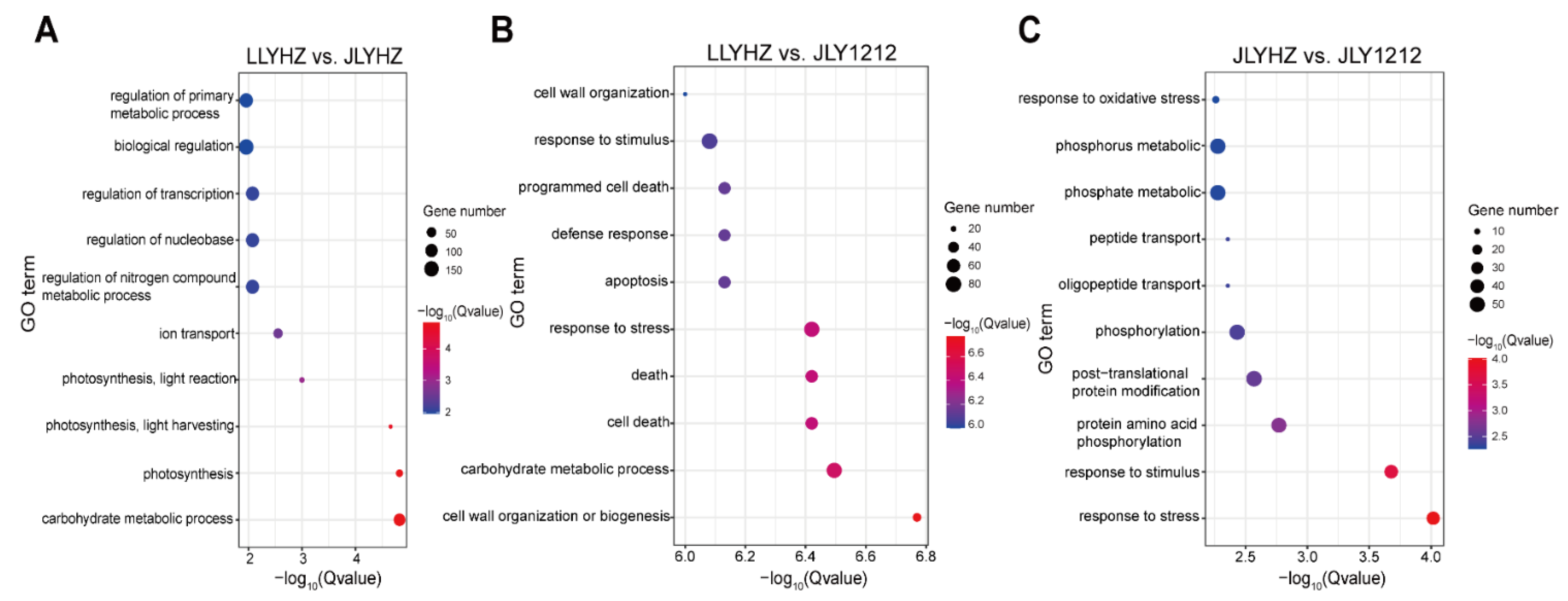 Agronomy 12 01628 g004