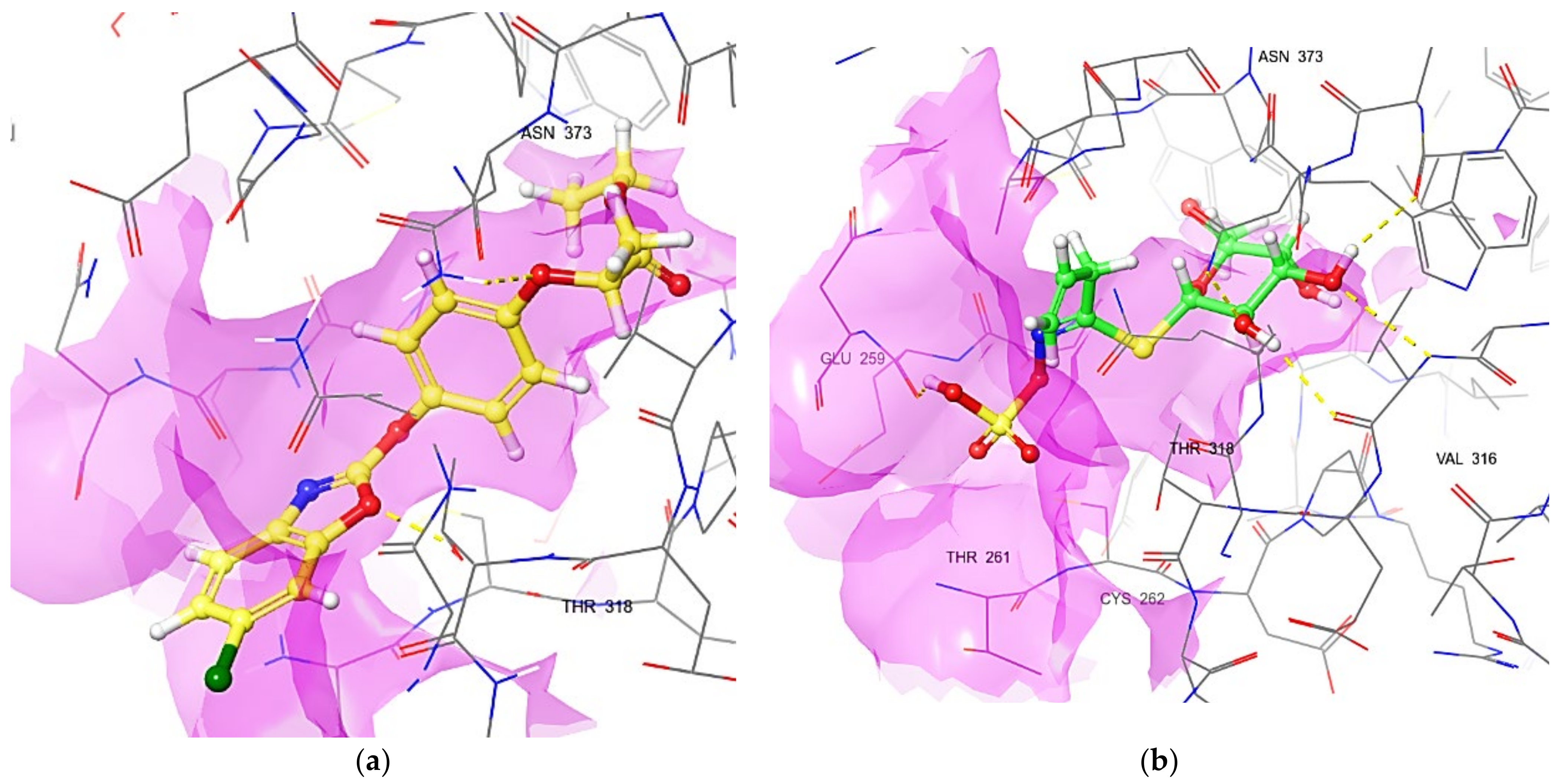 Agronomy 12 01635 g004