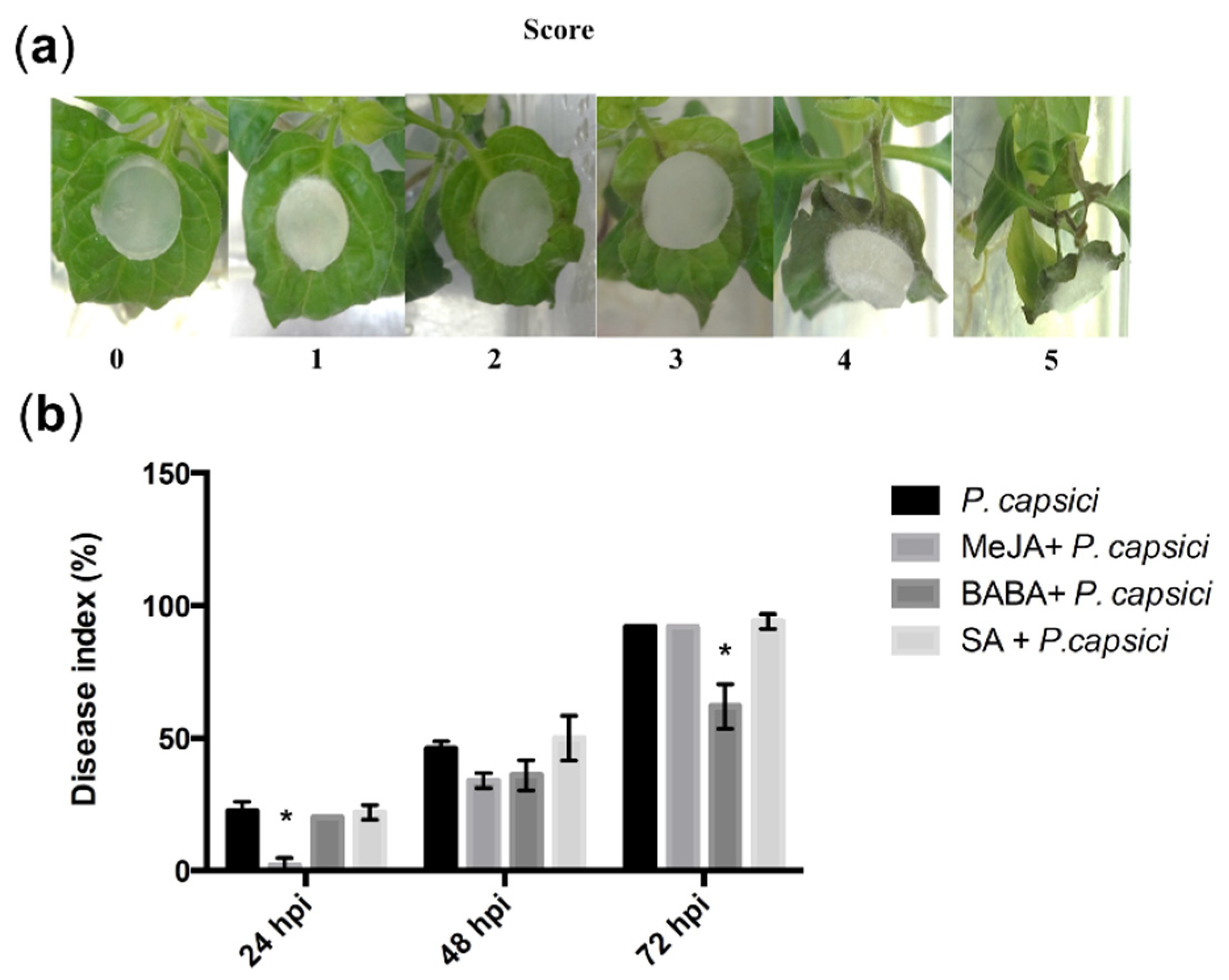 Agronomy 12 01637 g002