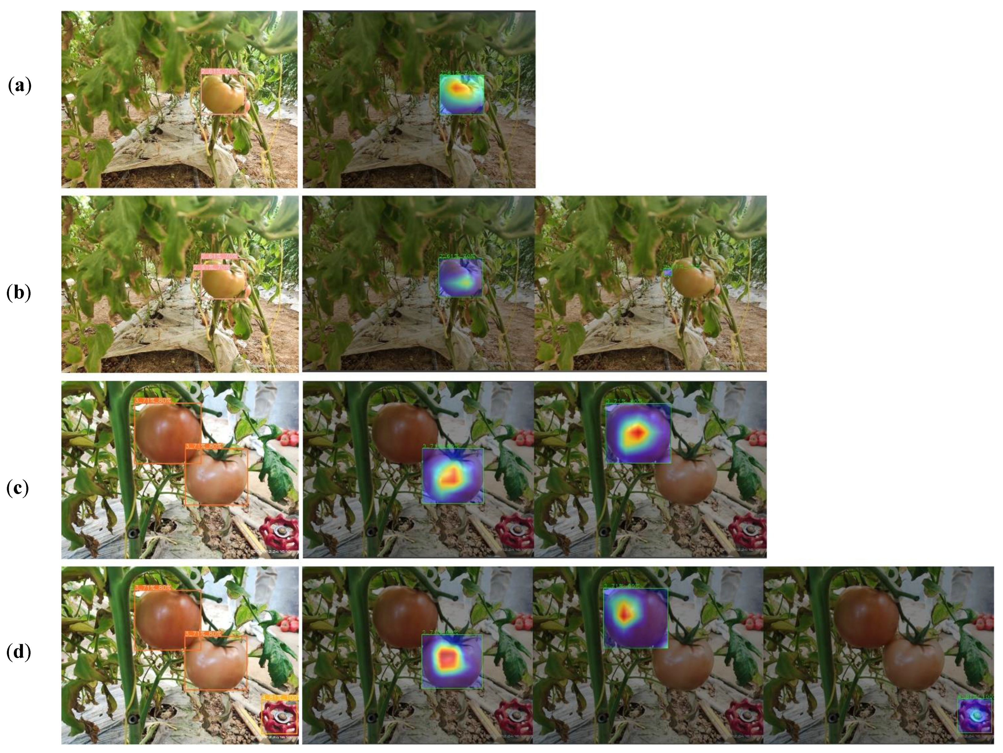 Agronomy 12 01638 g010