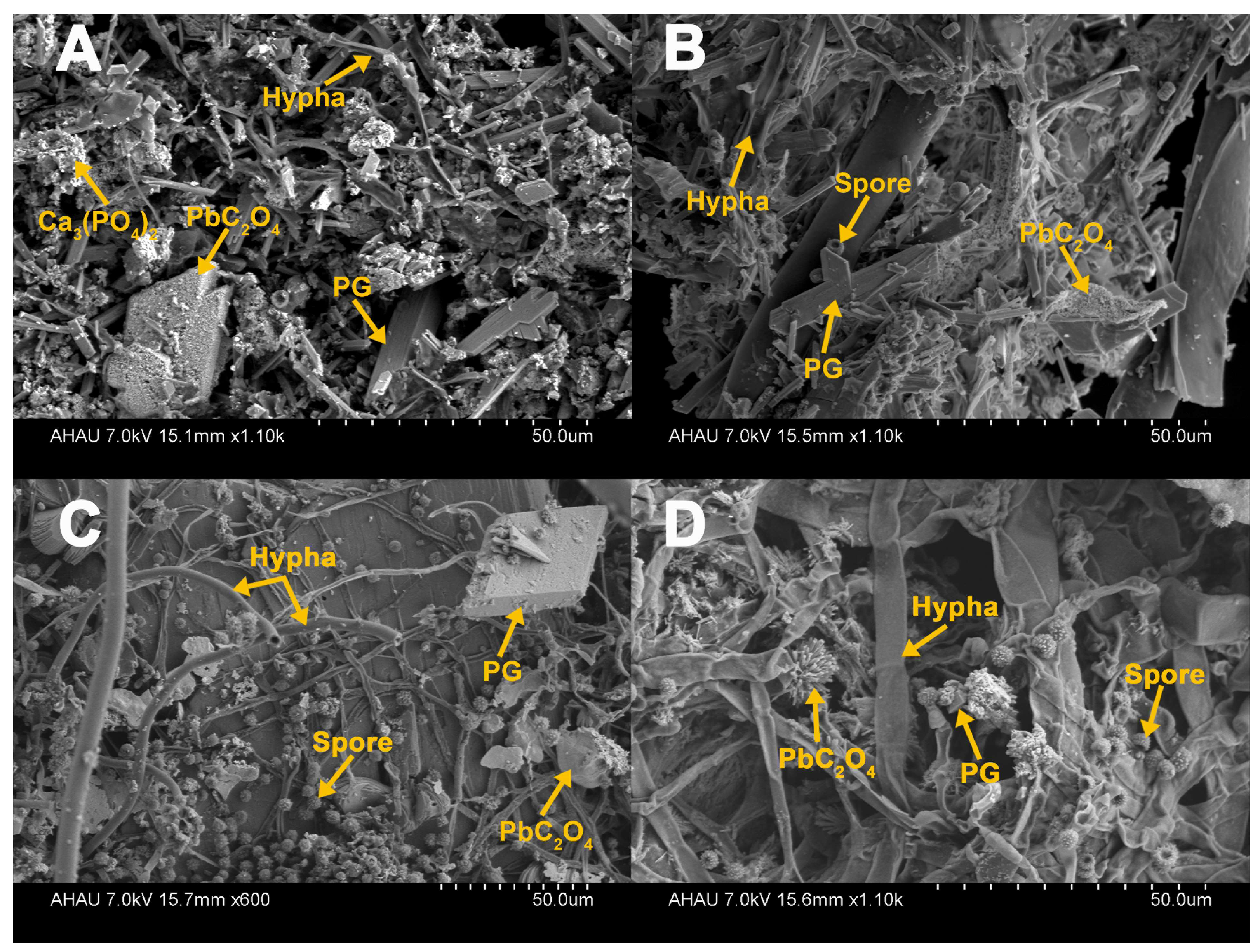 Agronomy 12 01639 g008 Agronomy 12 01639 g008