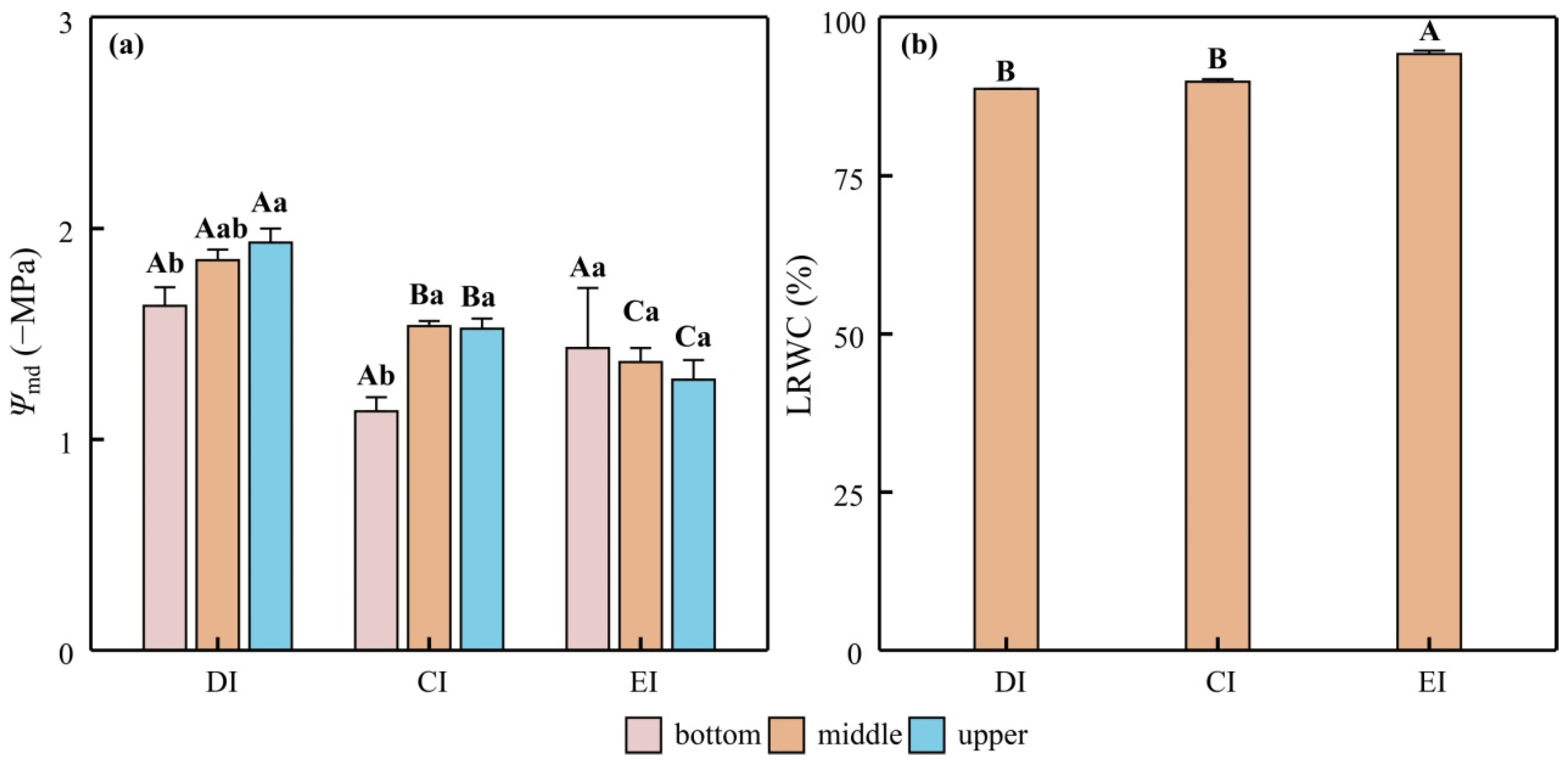 Agronomy 12 01647 g002