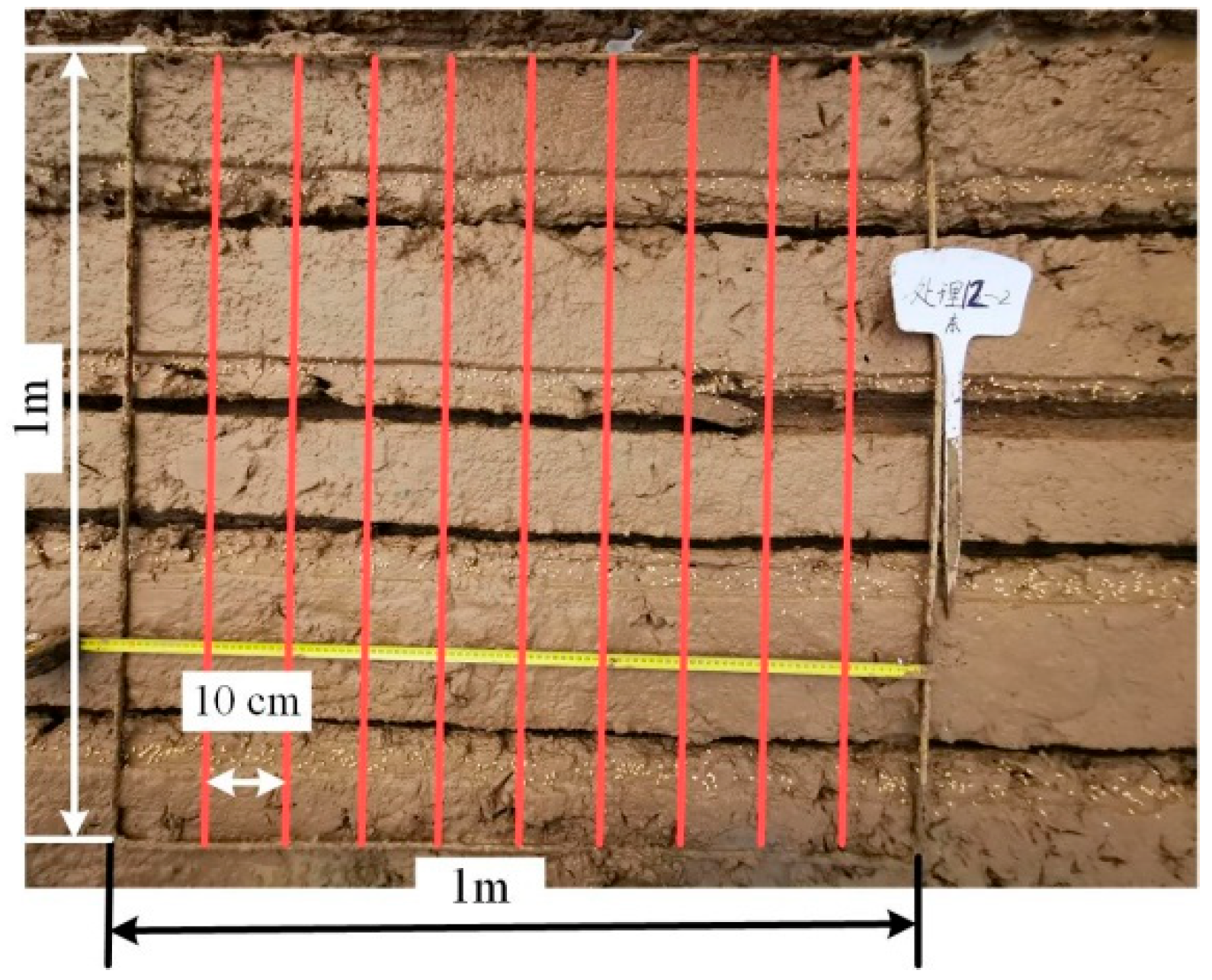 Agronomy 12 01655 g003