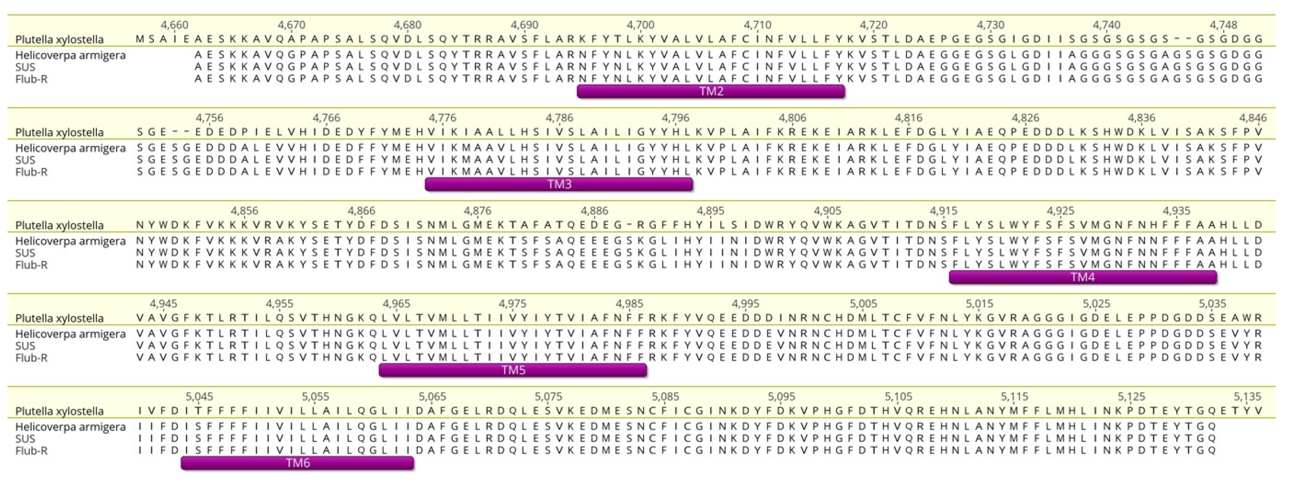 Agronomy 12 01664 g005