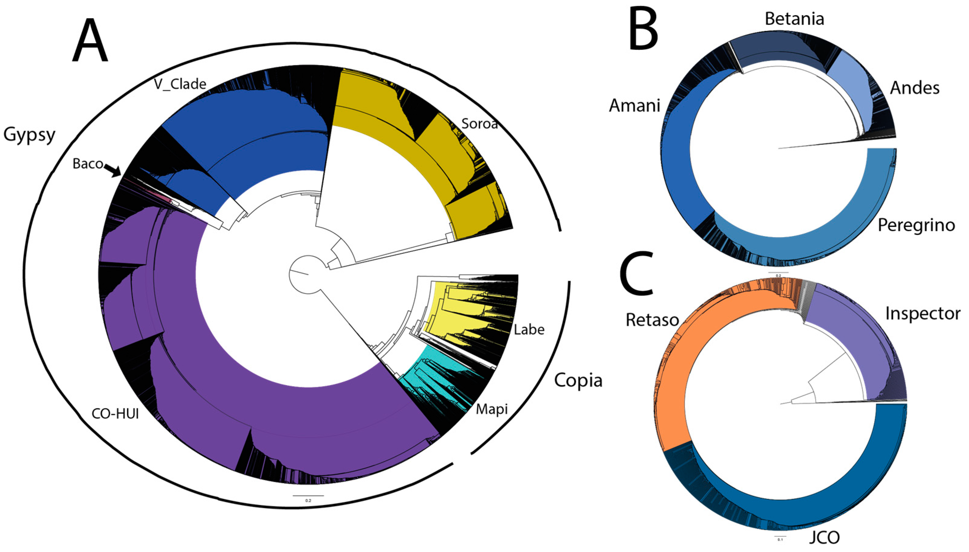 Agronomy | Free Full-Text | Composition and Diversity of LTR  Retrotransposons in the Coffee Leaf Rust Genome (Hemileia vastatrix)