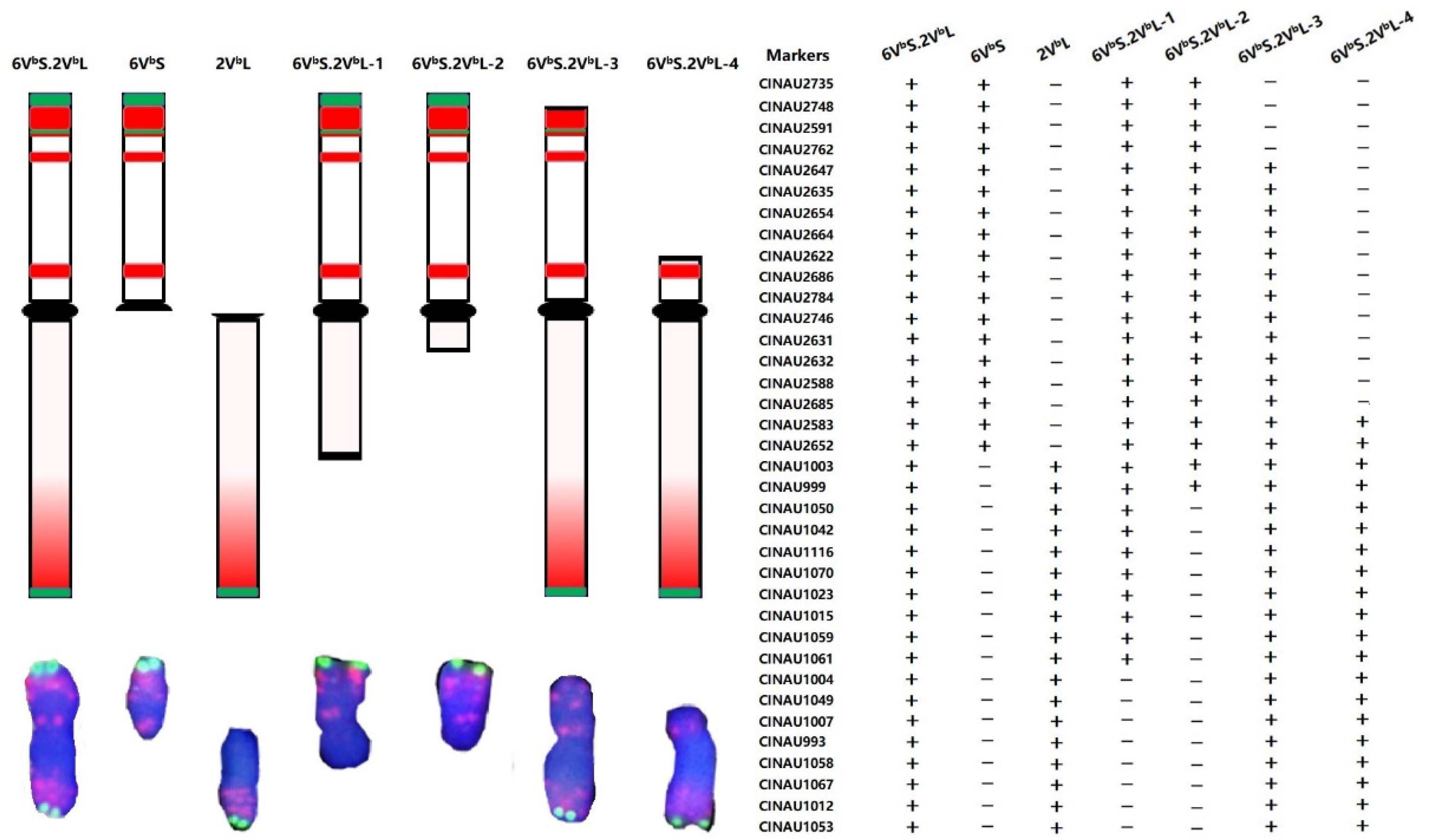 Agronomy 12 01673 g004