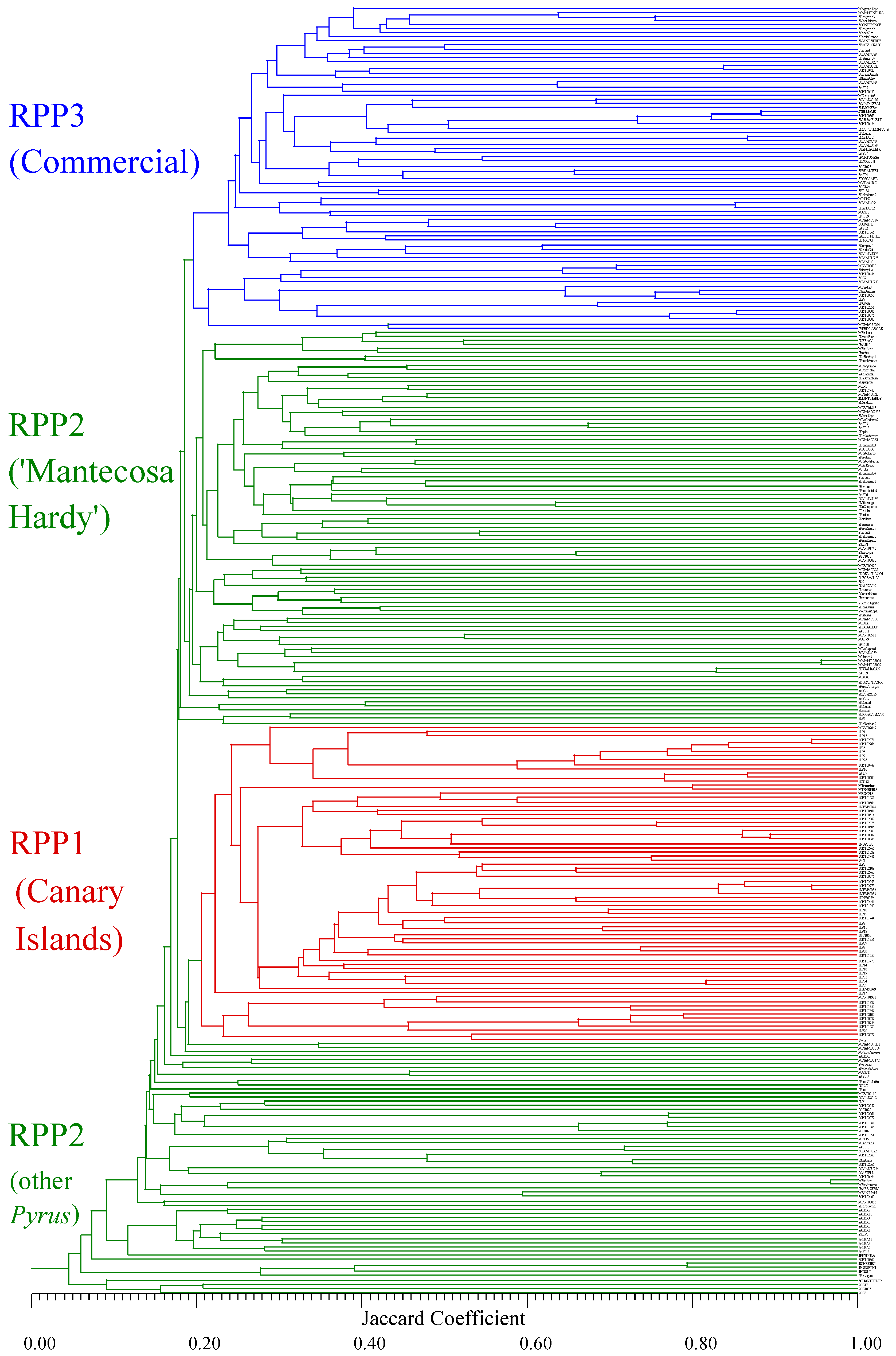 Agronomy 12 01711 g003