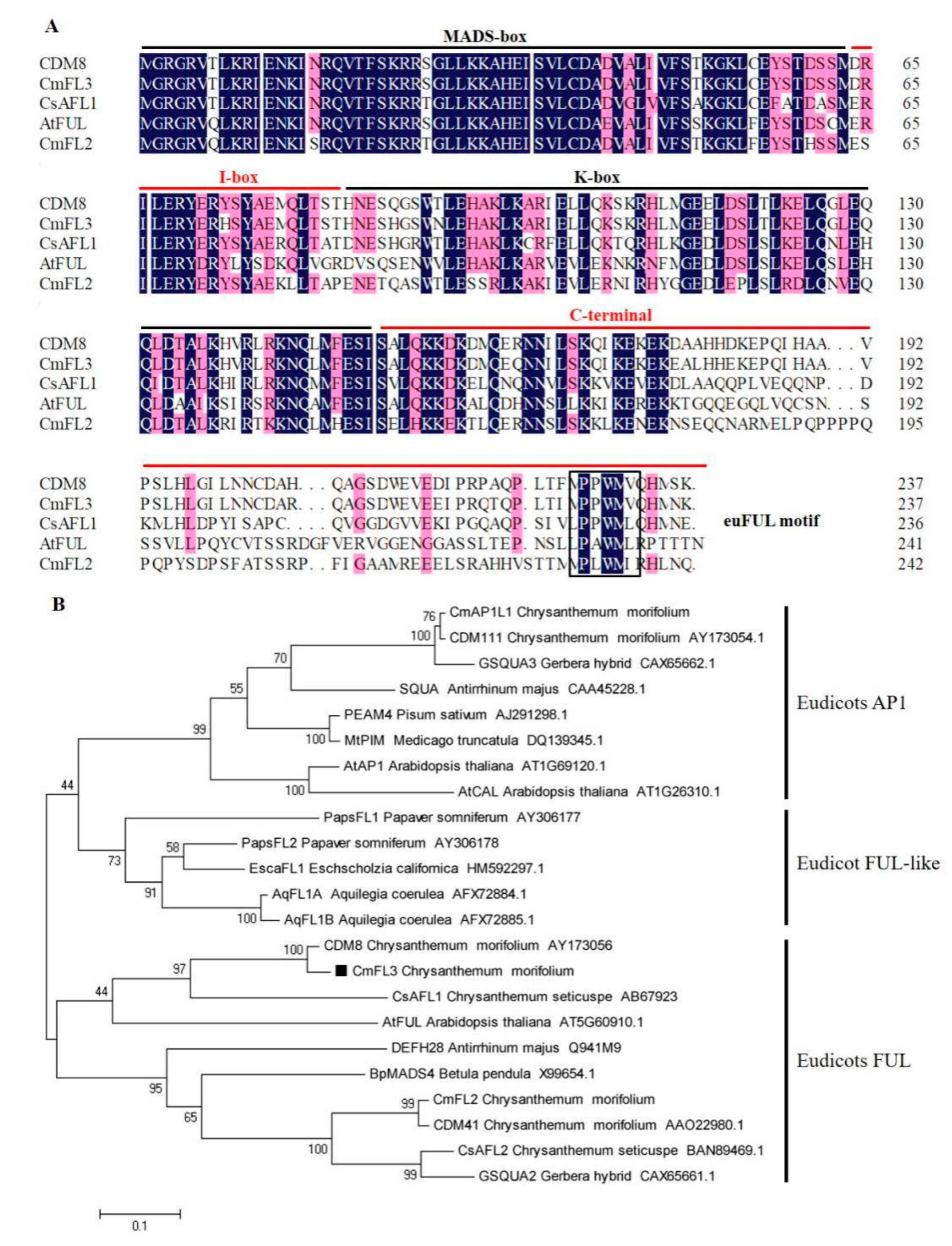 Agronomy 12 01716 g001
