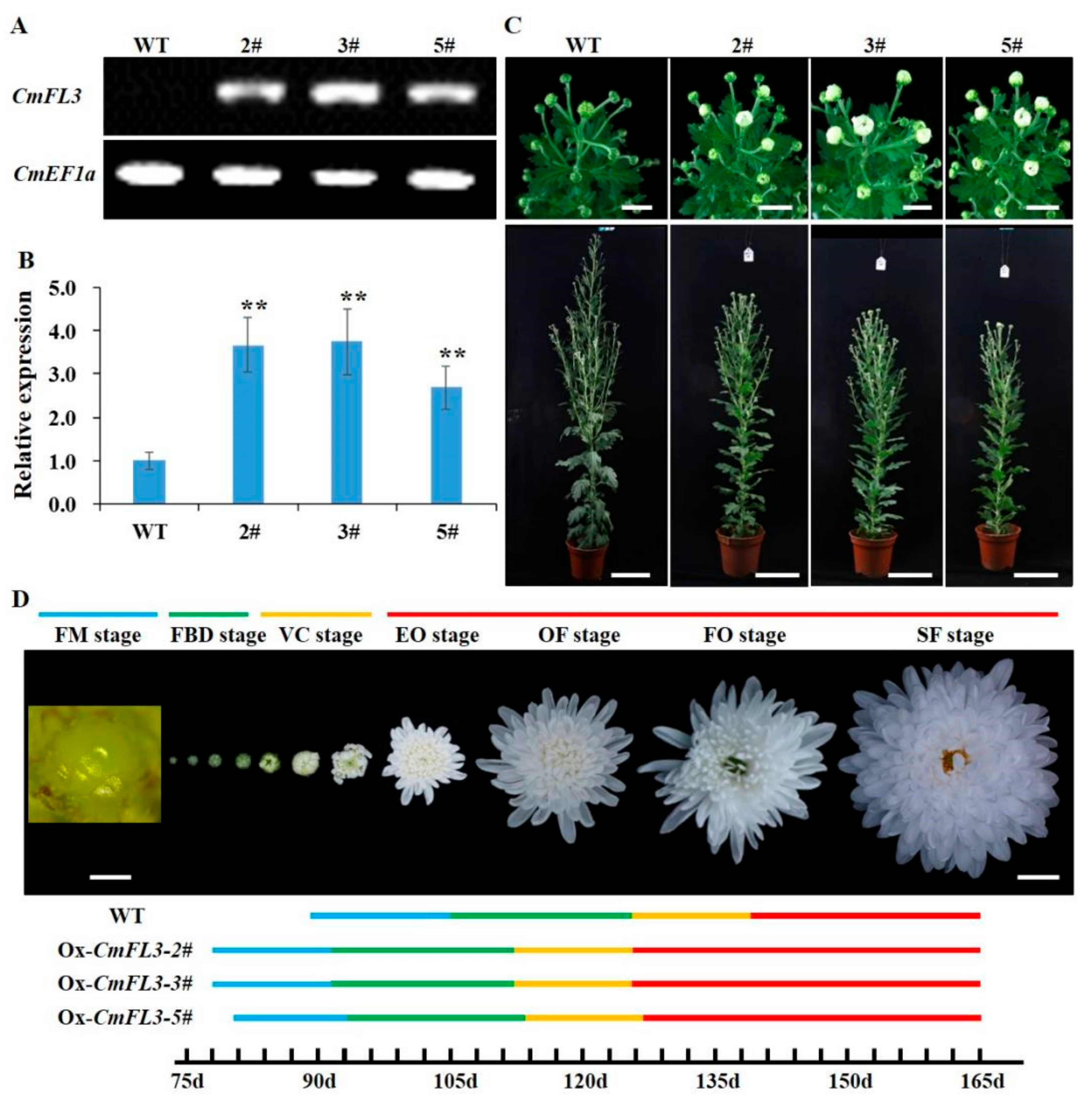 Agronomy 12 01716 g005