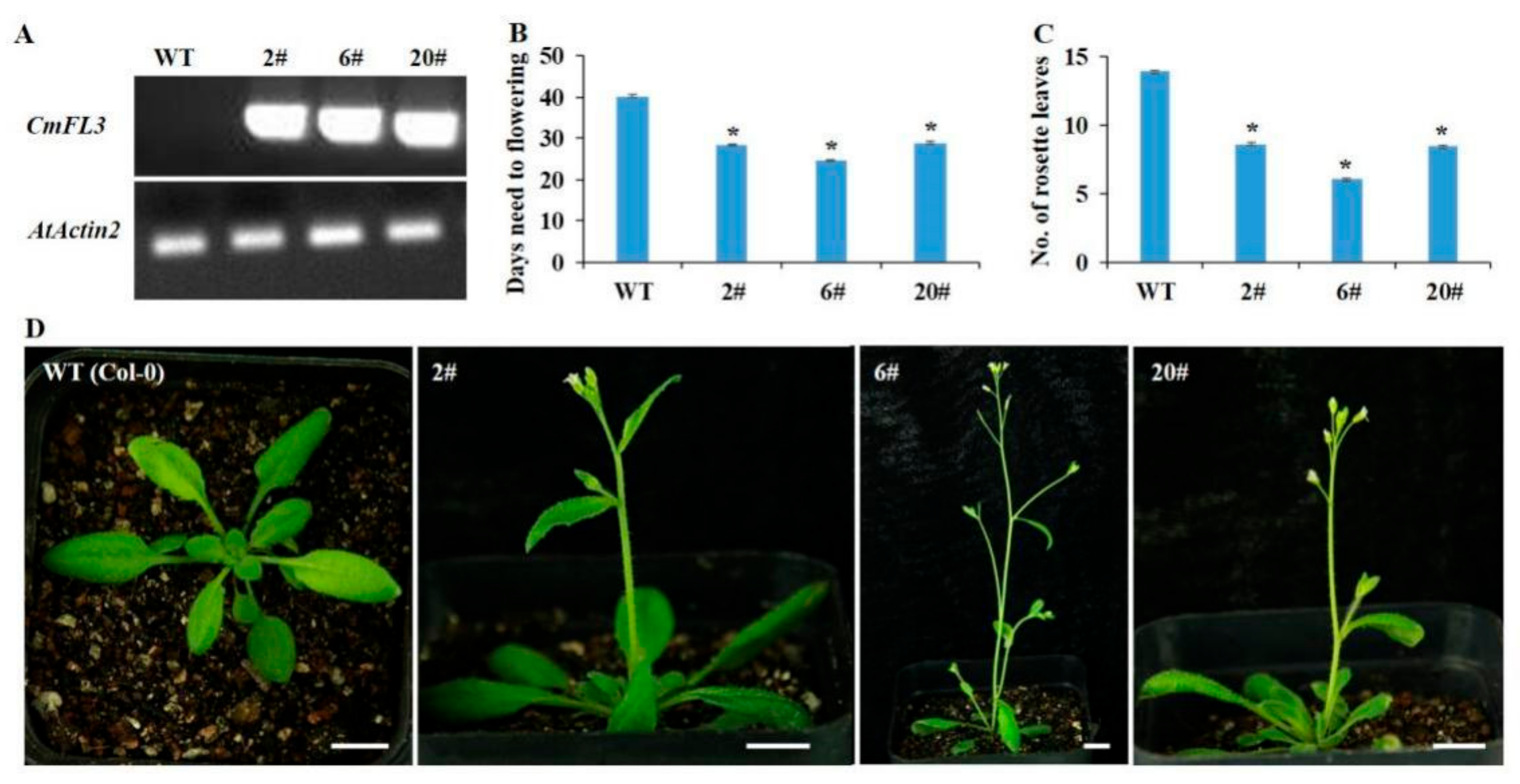 Agronomy 12 01716 g007