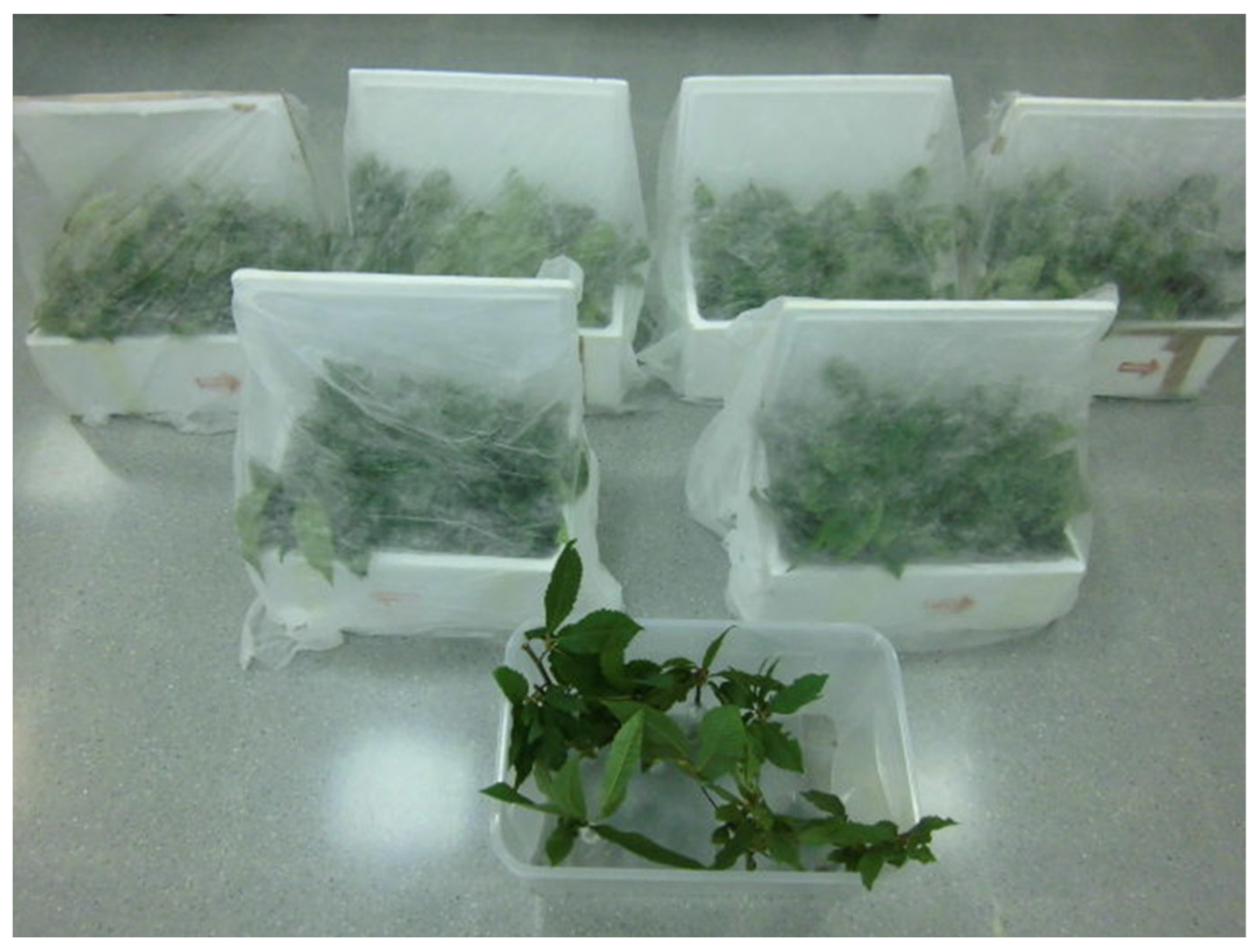 Agronomy 12 01728 g001