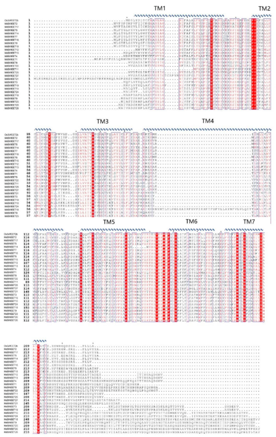 Agronomy 12 01747 g001