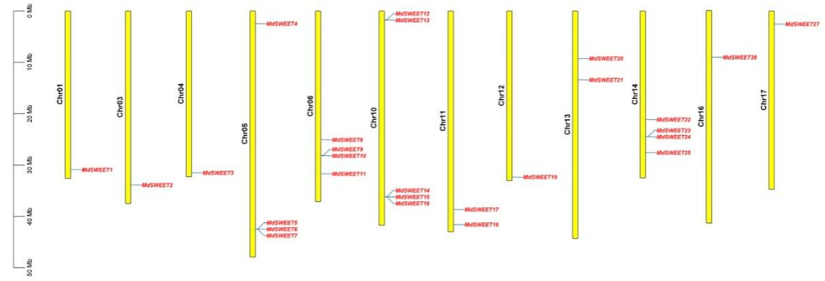 Agronomy 12 01747 g005