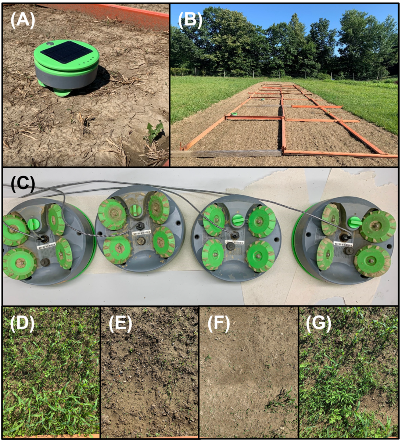 Agronomy | Free Full-Text | Effects of Tertill&reg; Weeding Robot on Weed  Abundance and Diversity