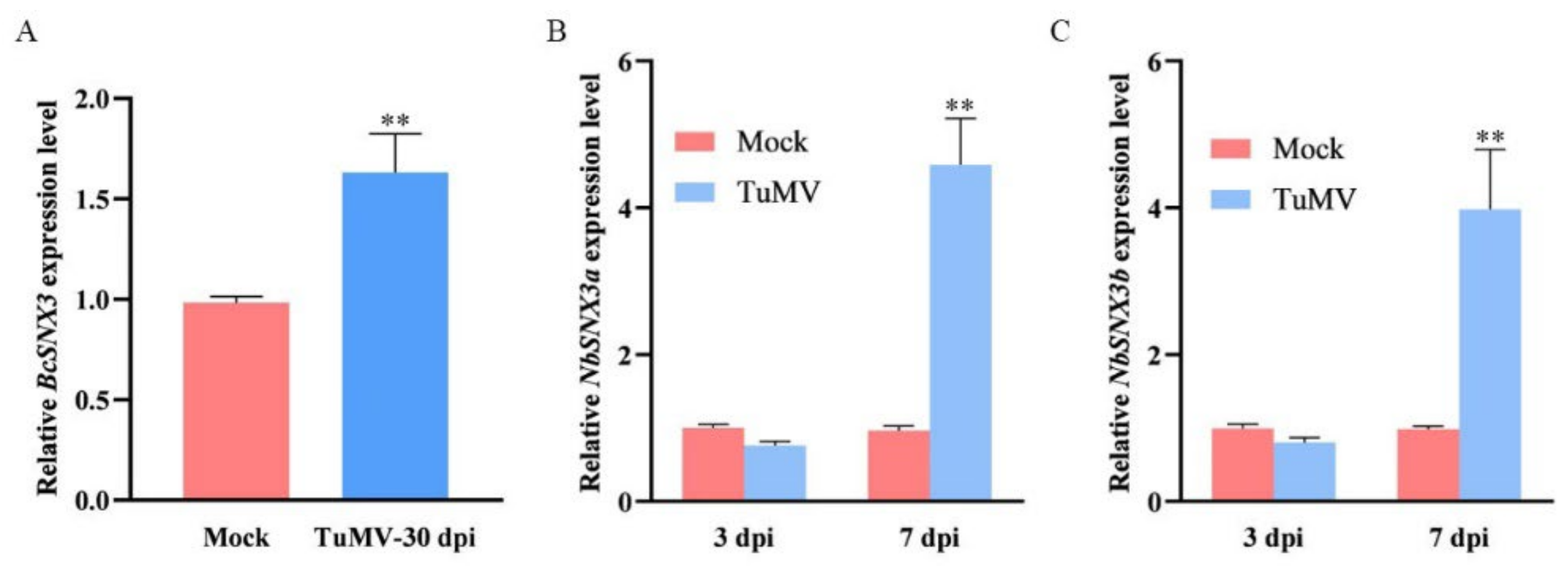 Agronomy 12 01757 g001 Agronomy 12 01757 g001