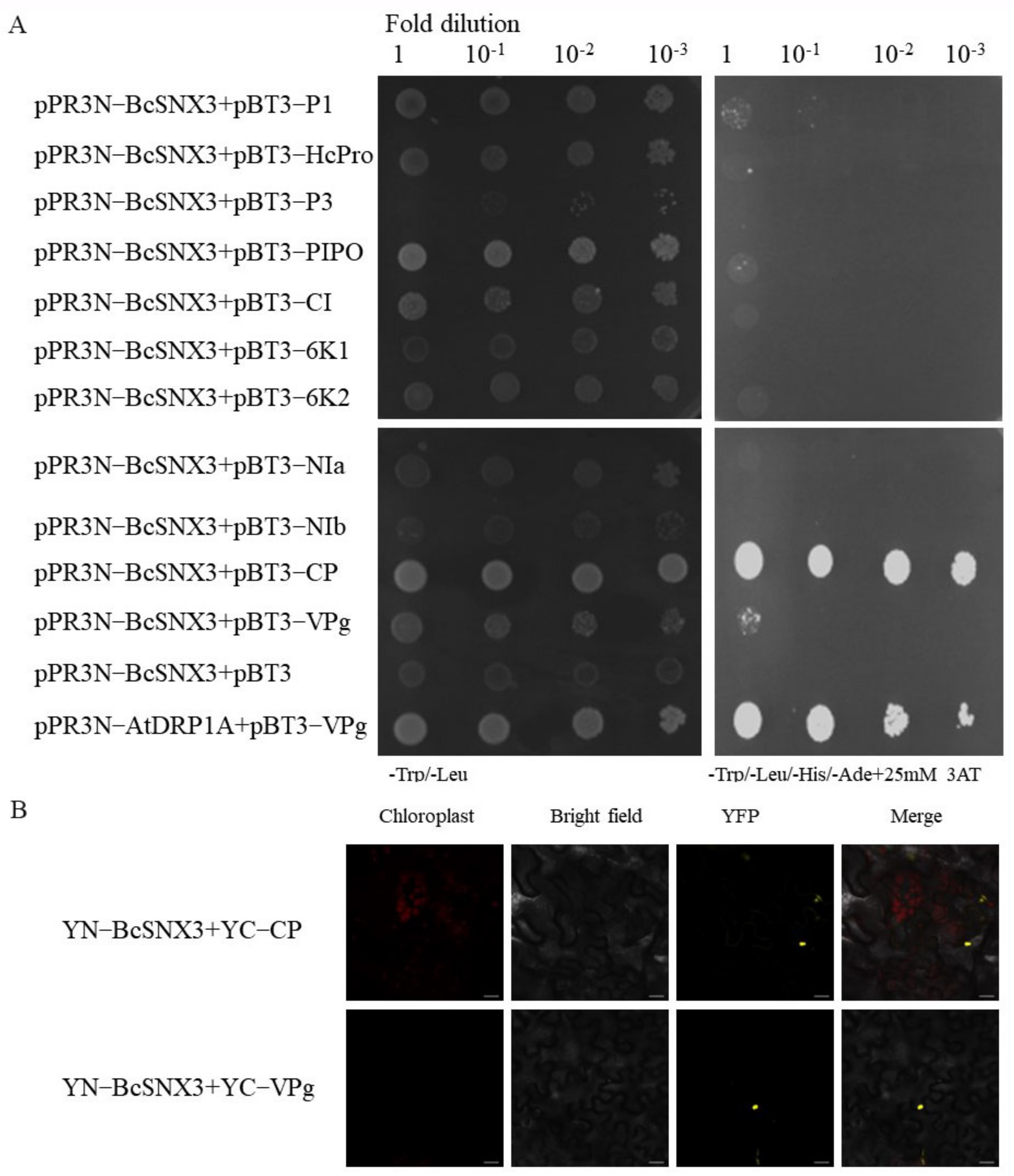 Agronomy 12 01757 g003 Agronomy 12 01757 g003