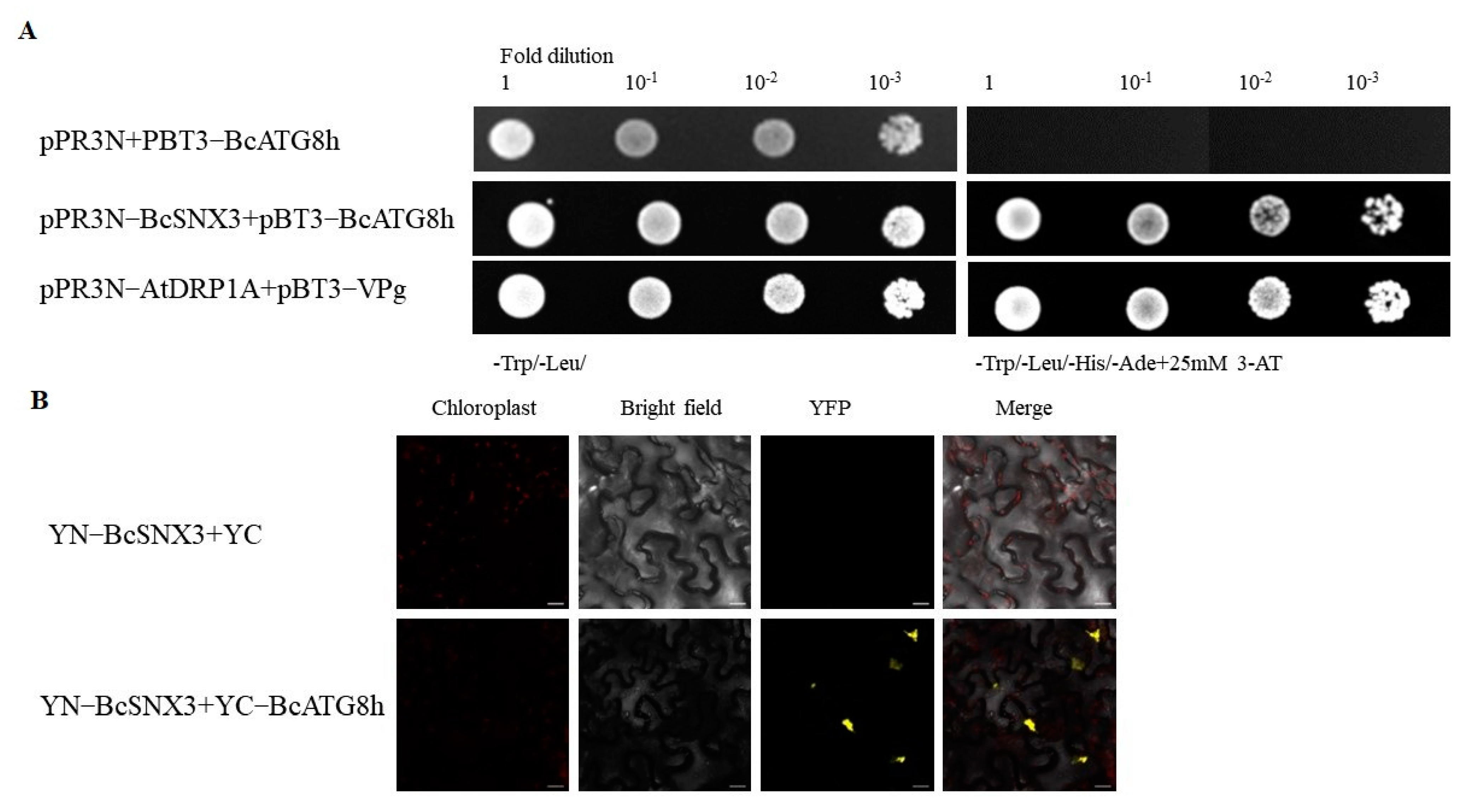 Agronomy 12 01757 g005 Agronomy 12 01757 g005