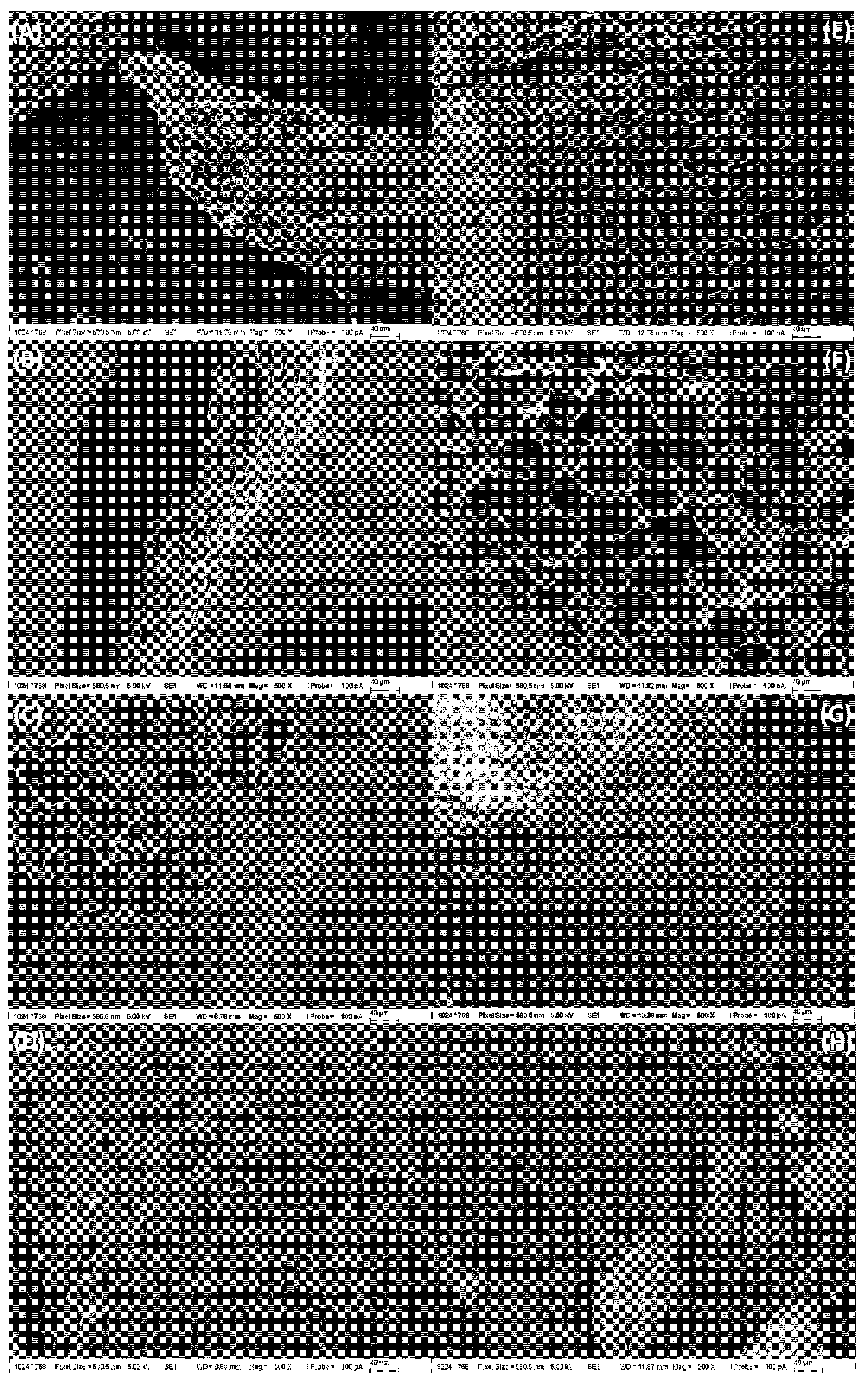 Agronomy 12 01768 g003