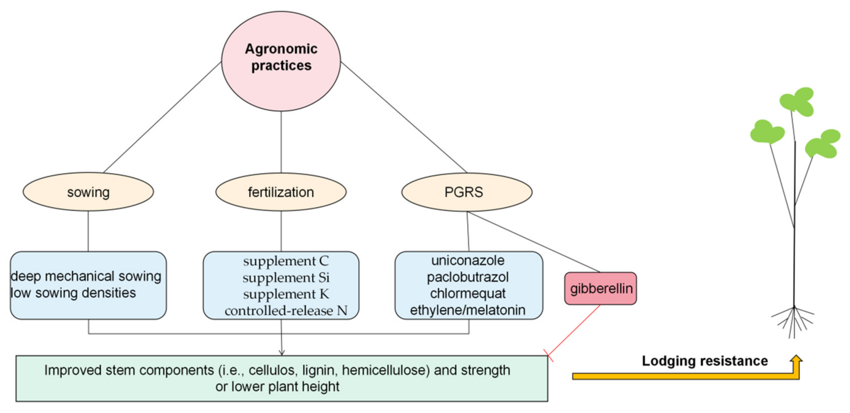 Agronomy 12 01795 g002 Agronomy 12 01795 g002