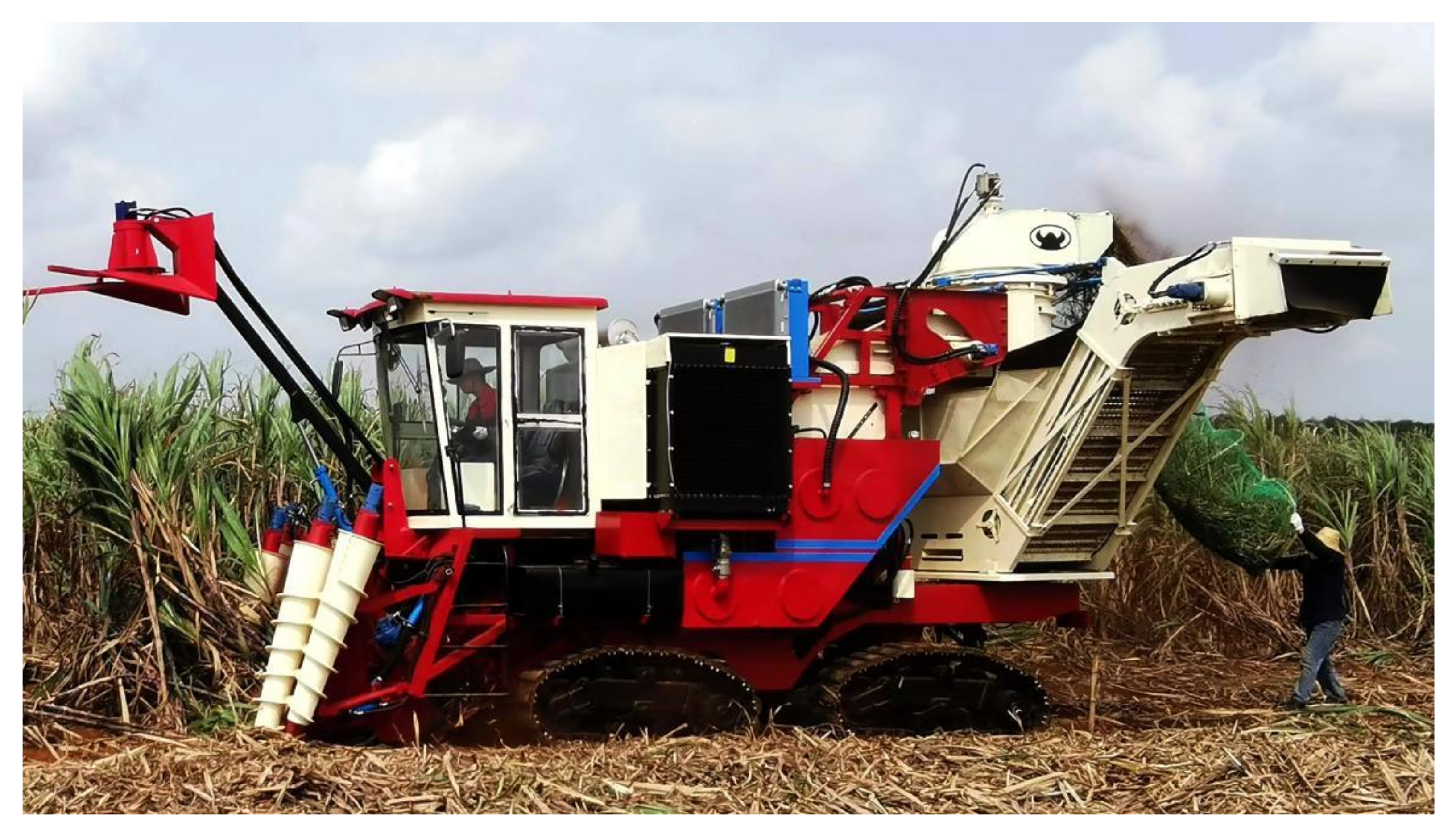 Agronomy 12 01796 g016