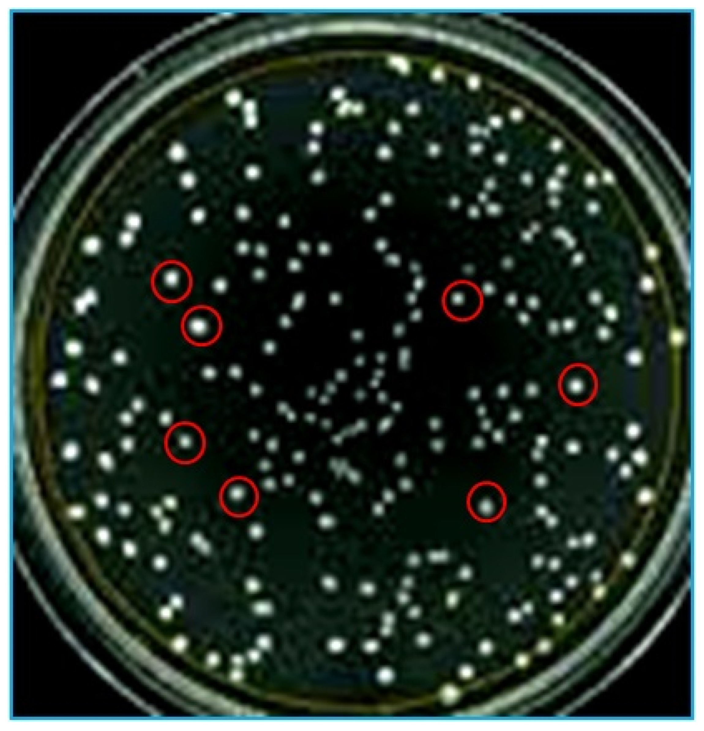 Agronomy 12 01801 g001