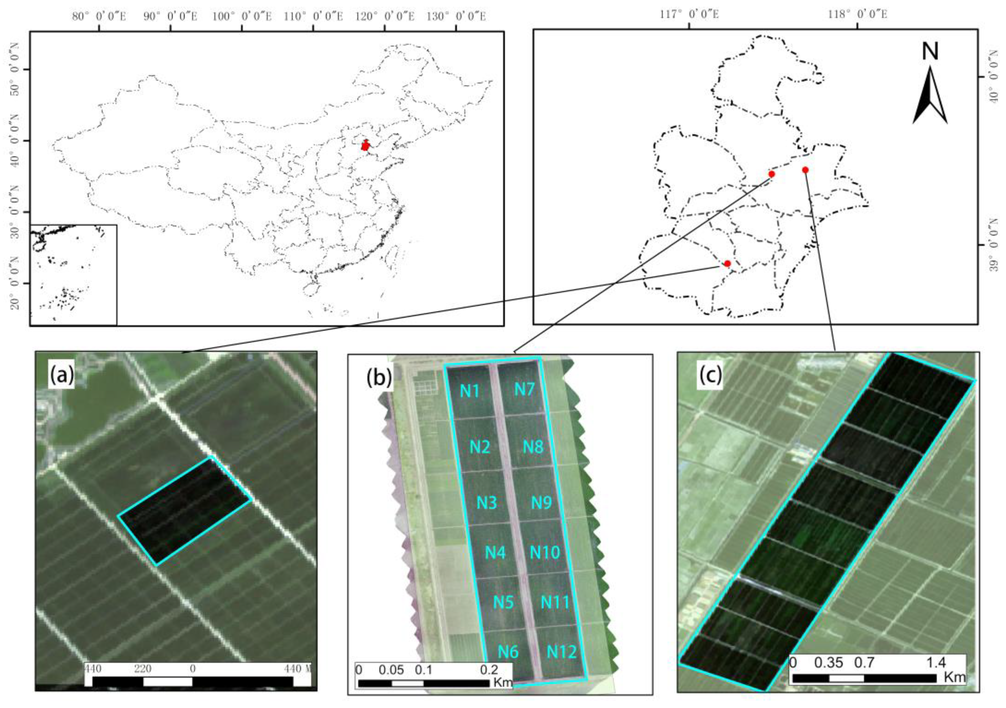 Agronomy 12 01804 g001