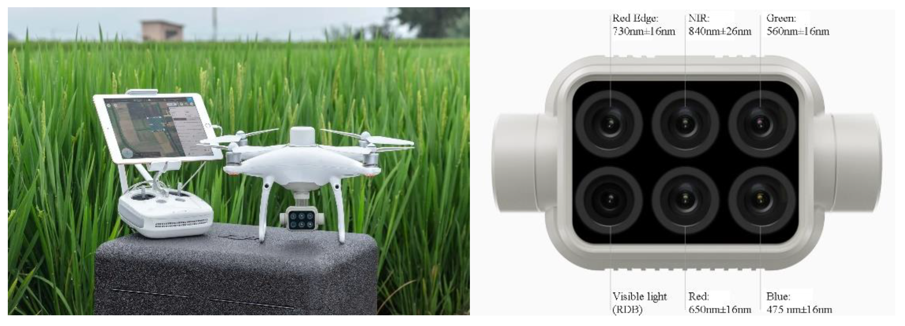 Agronomy 12 01804 g002