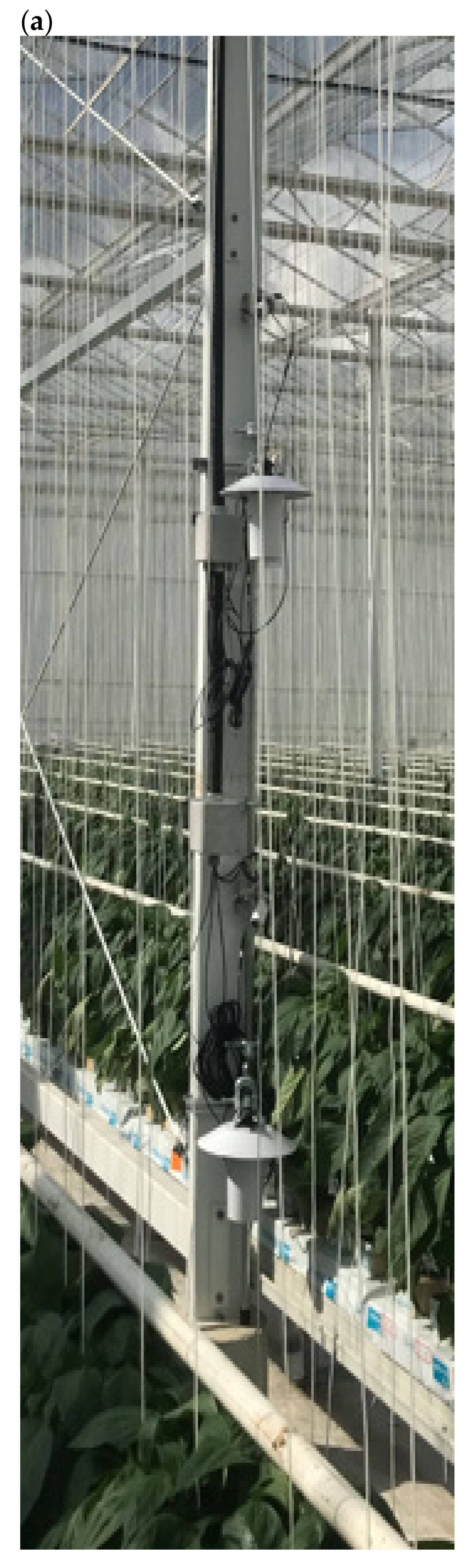 Agronomy 12 01807 g008a